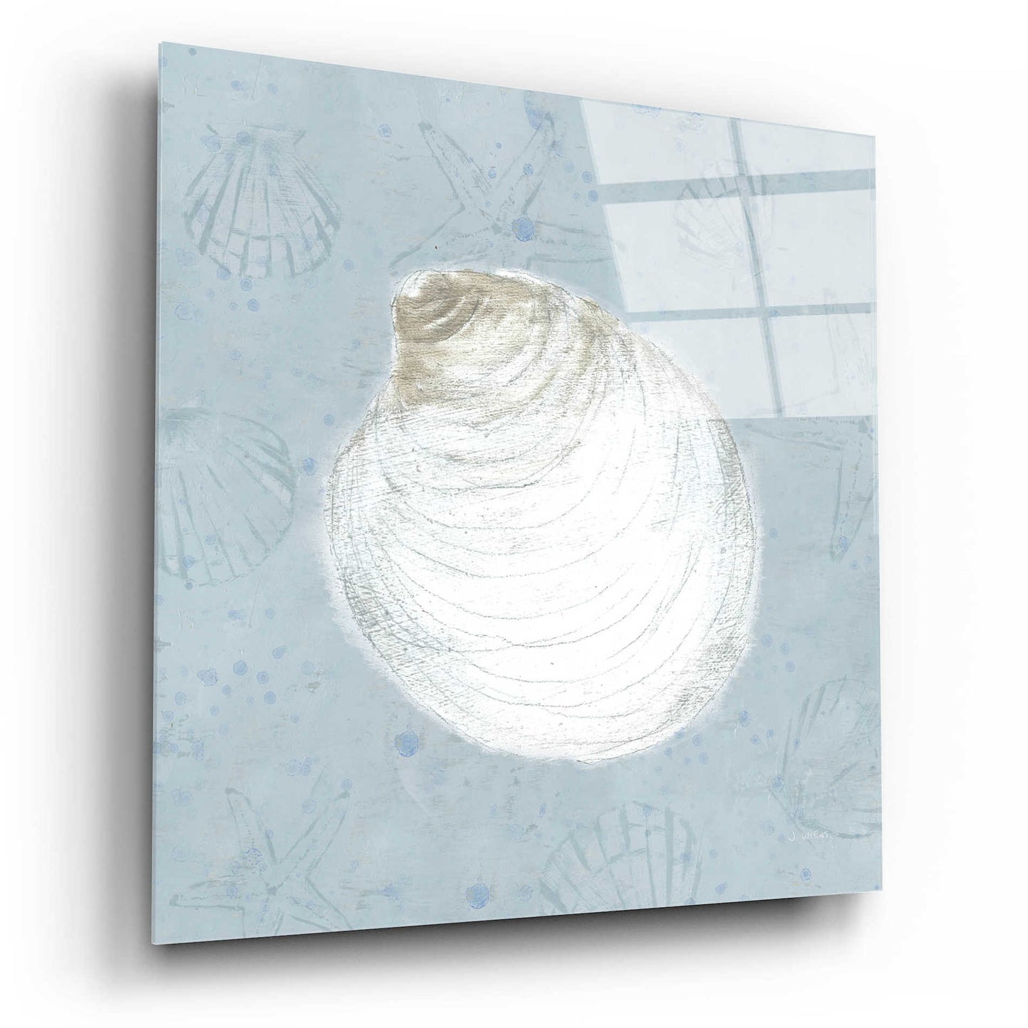 Epic Art 'Serene Shells II' by James Wiens, Acrylic Glass Wall Art,12x12