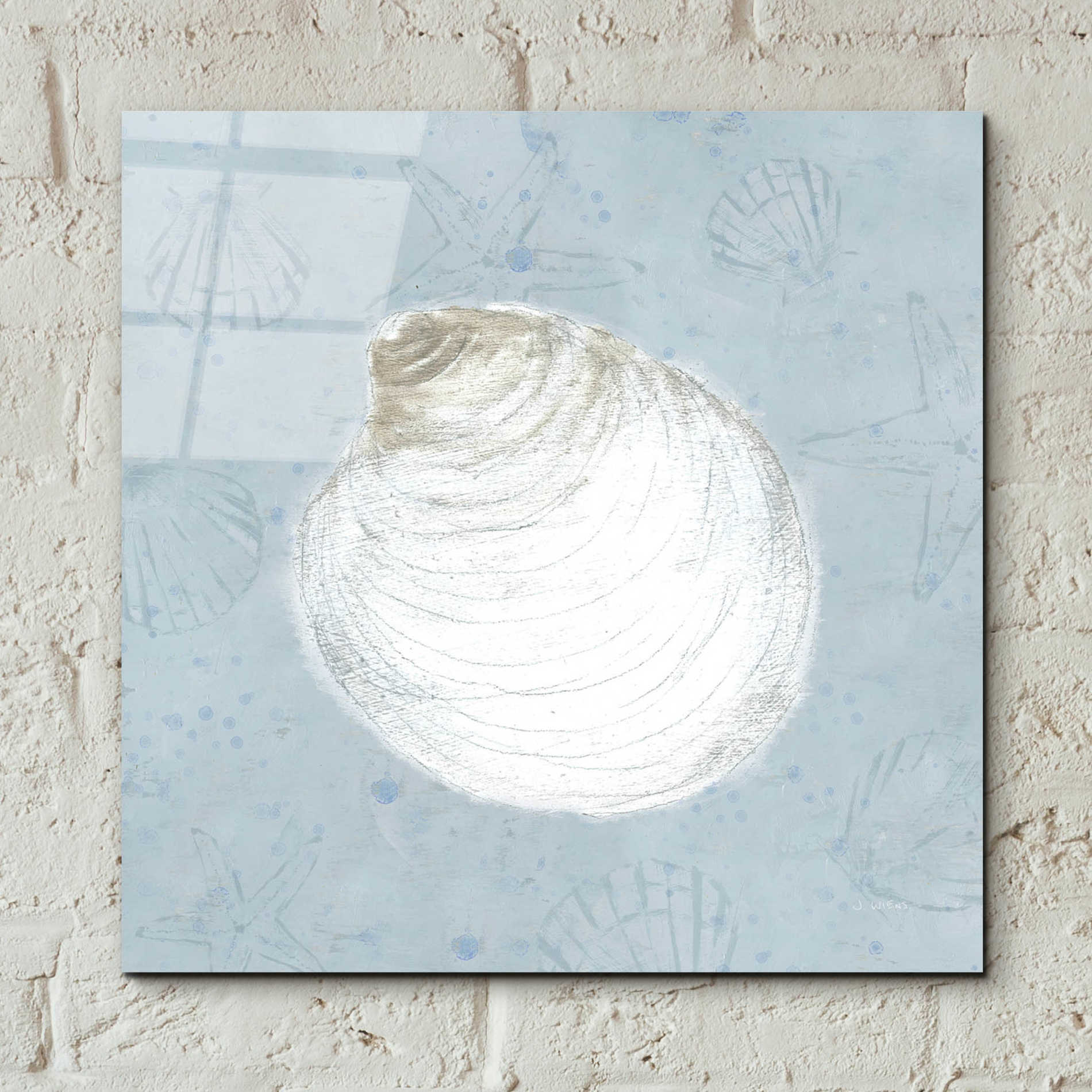 Epic Art 'Serene Shells II' by James Wiens, Acrylic Glass Wall Art,12x12