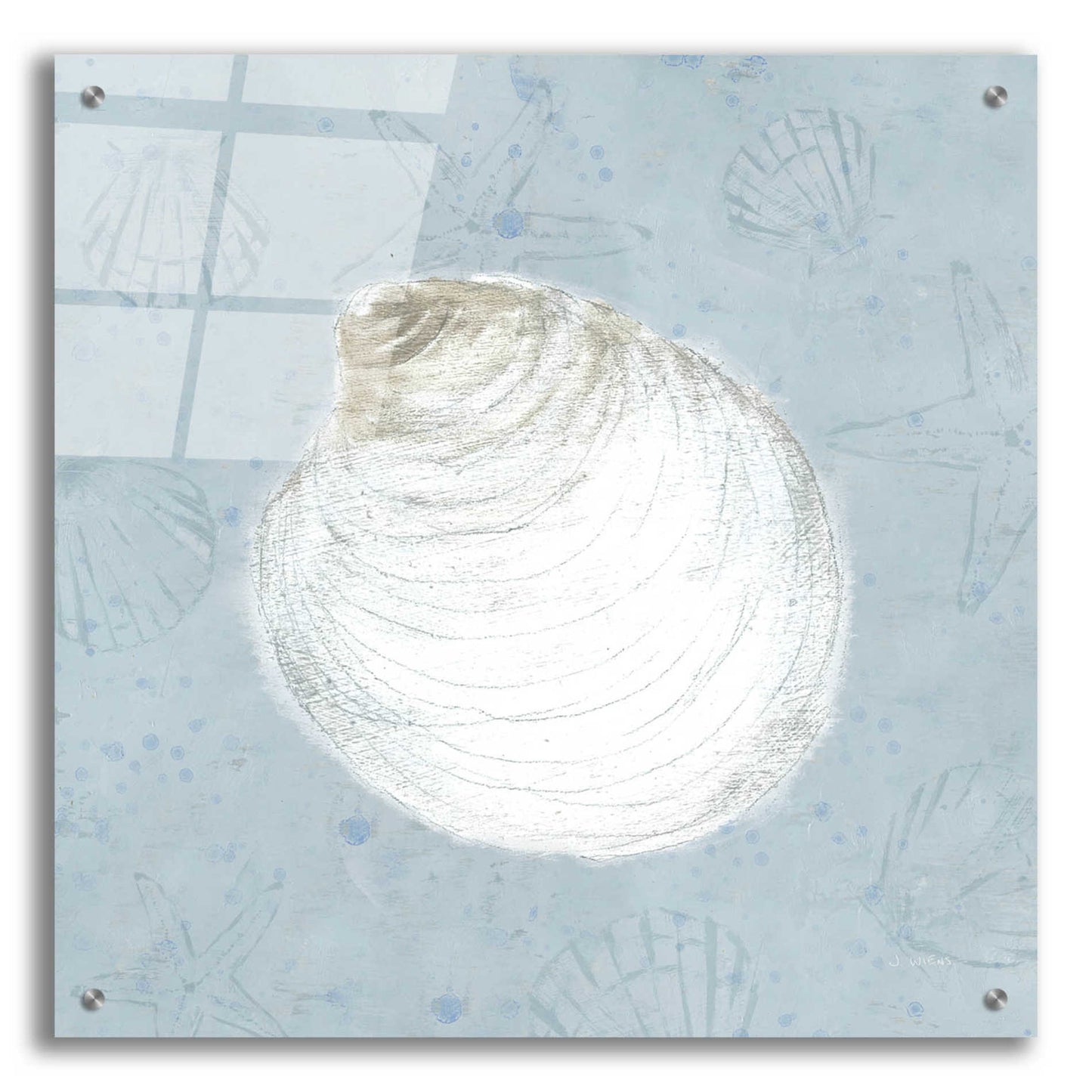 Epic Art 'Serene Shells II' by James Wiens, Acrylic Glass Wall Art,24x24