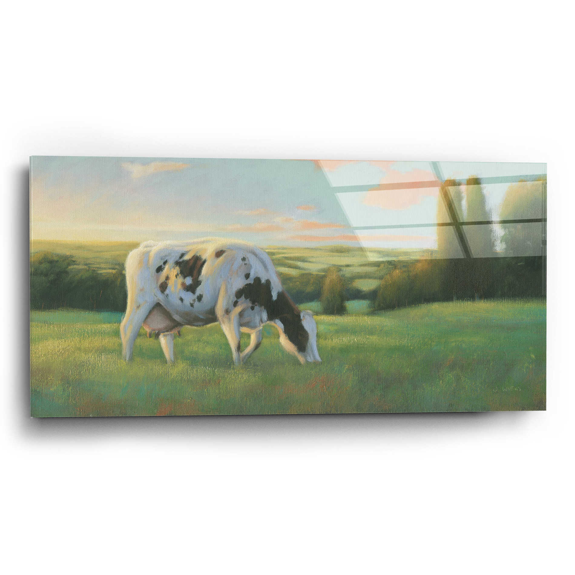 Epic Art 'Farm Life I' by James Wiens, Acrylic Glass Wall Art,24x12