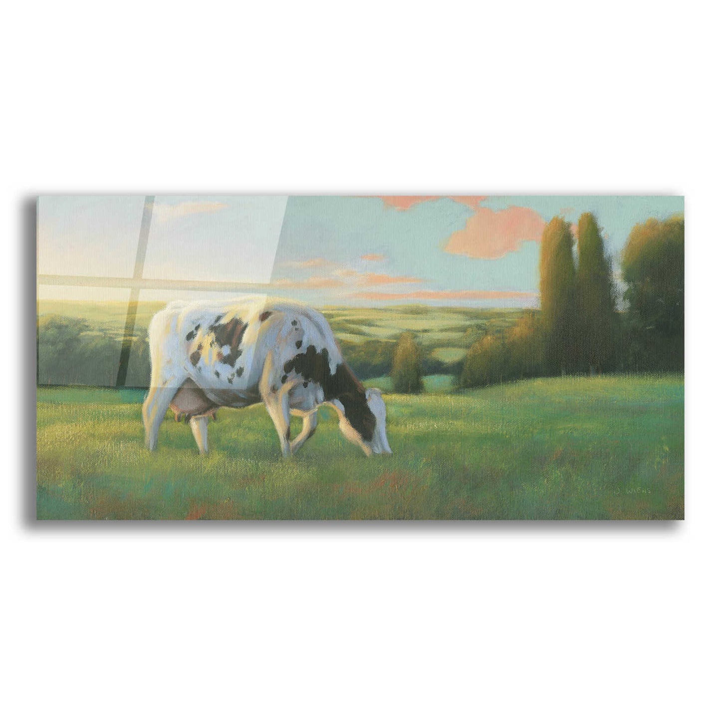 Epic Art 'Farm Life I' by James Wiens, Acrylic Glass Wall Art,24x12