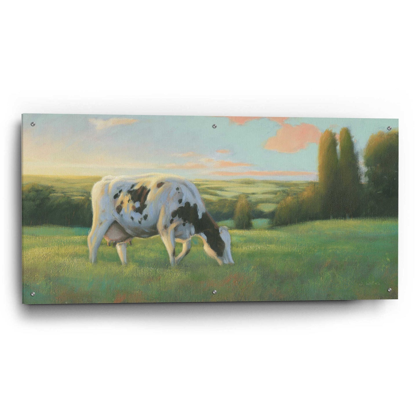 Epic Art 'Farm Life I' by James Wiens, Acrylic Glass Wall Art,48x24