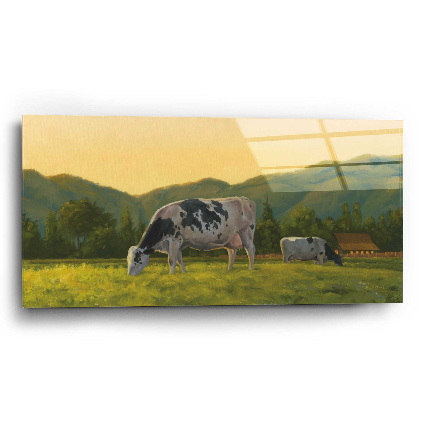 Epic Art 'Farm Life III' by James Wiens, Acrylic Glass Wall Art,24x12