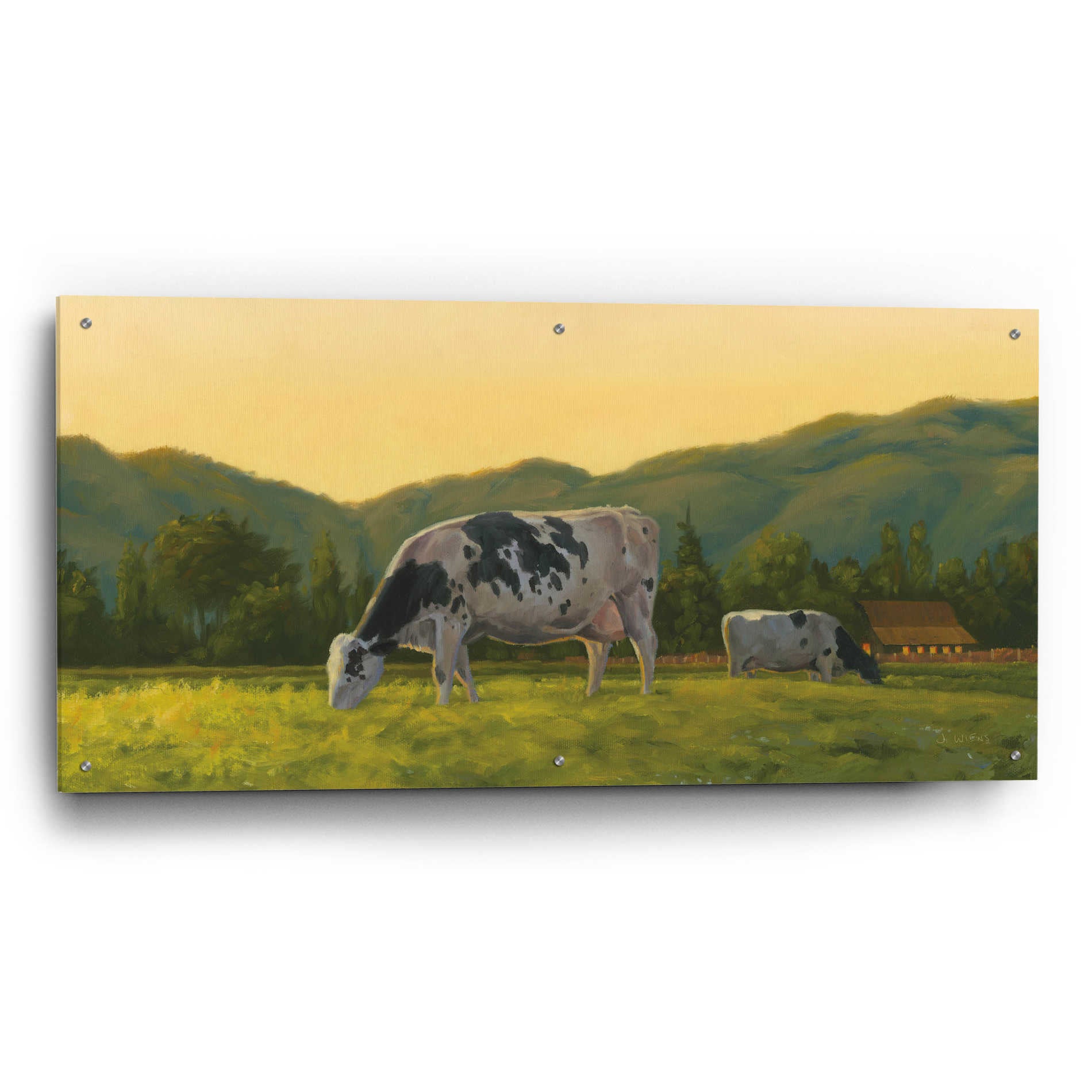 Epic Art 'Farm Life III' by James Wiens, Acrylic Glass Wall Art,48x24