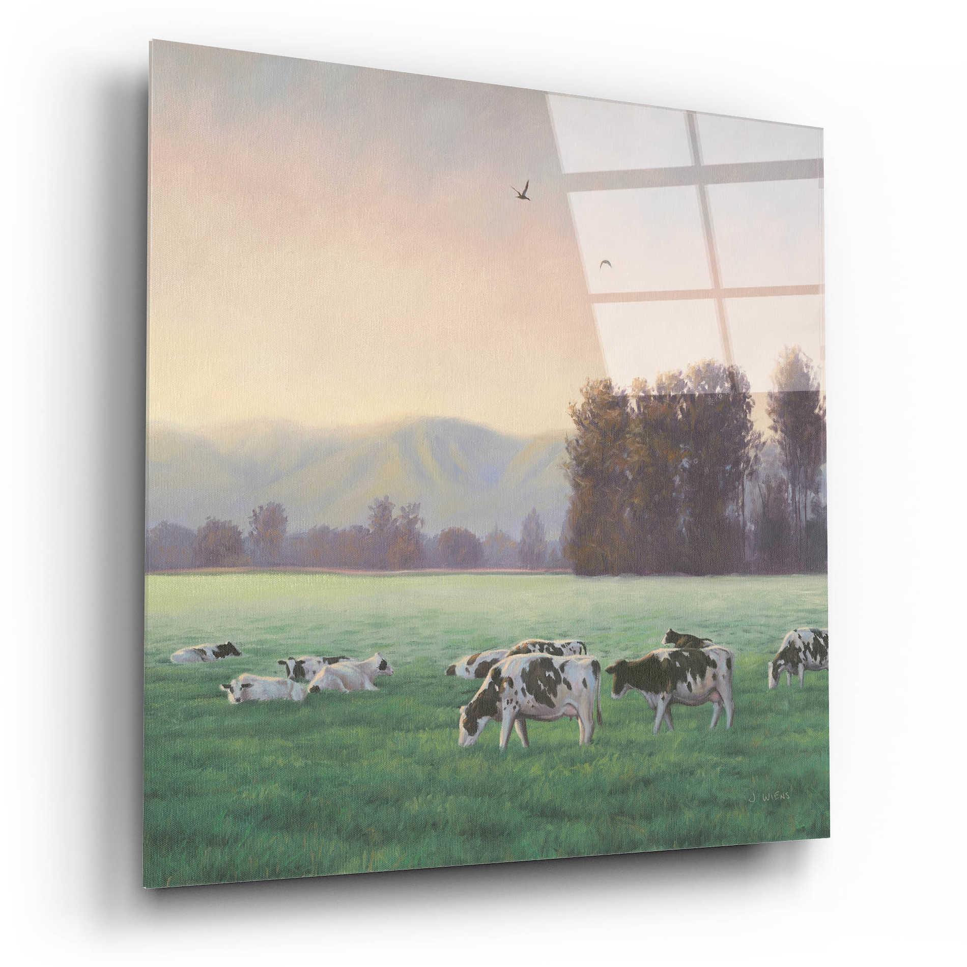 Epic Art 'Farm Life V' by James Wiens, Acrylic Glass Wall Art,12x12