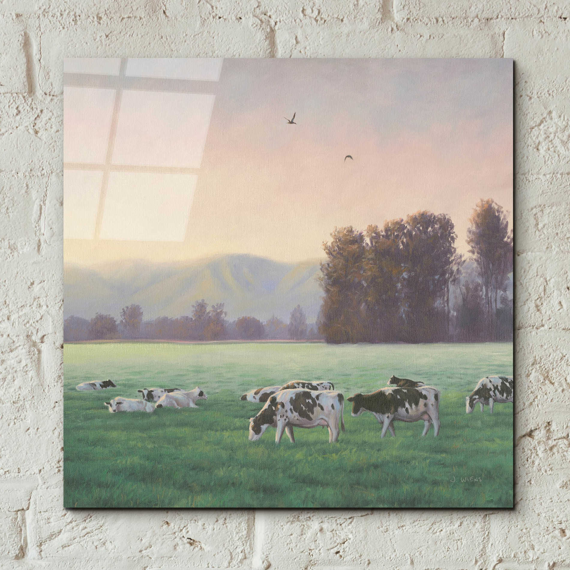 Epic Art 'Farm Life V' by James Wiens, Acrylic Glass Wall Art,12x12