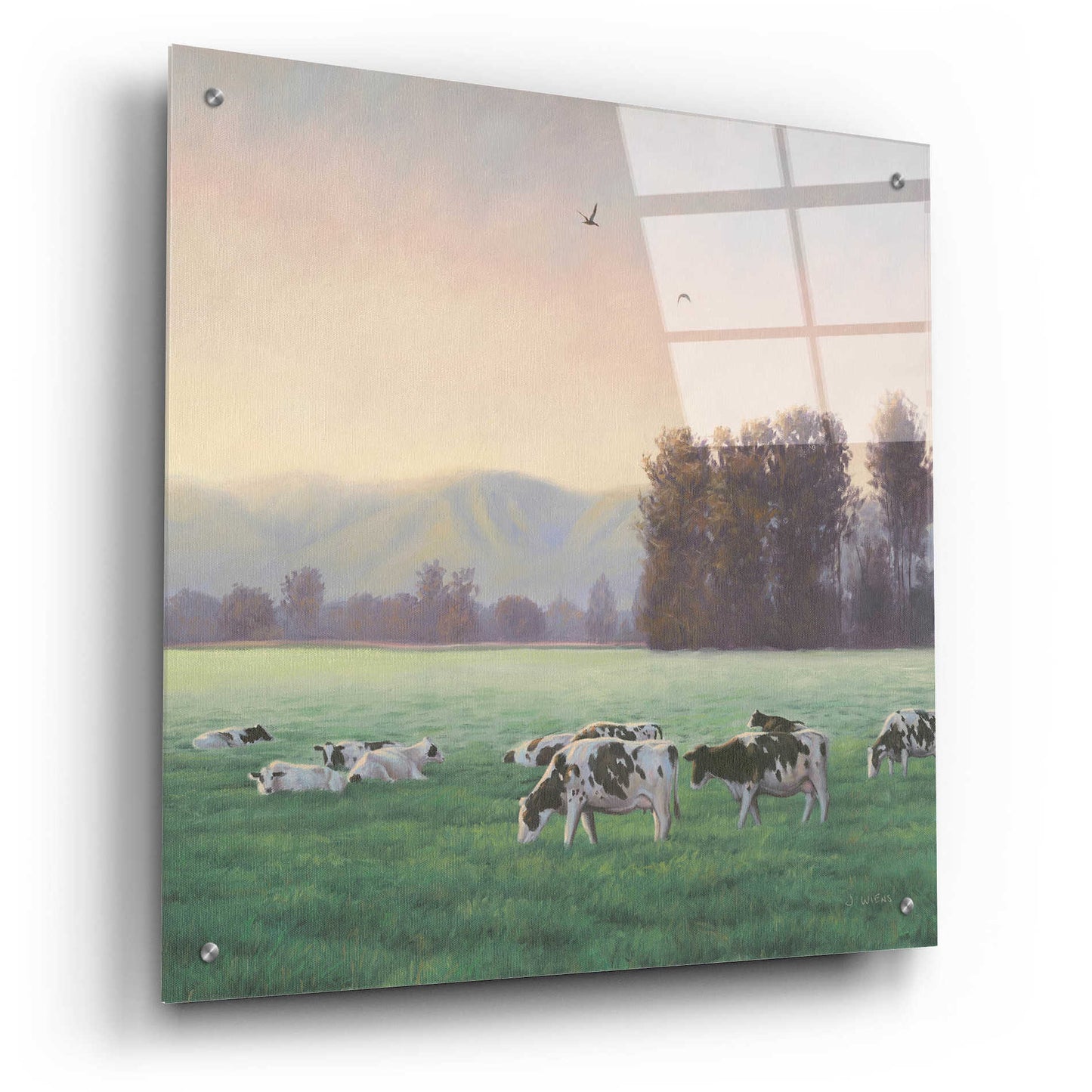 Epic Art 'Farm Life V' by James Wiens, Acrylic Glass Wall Art,24x24