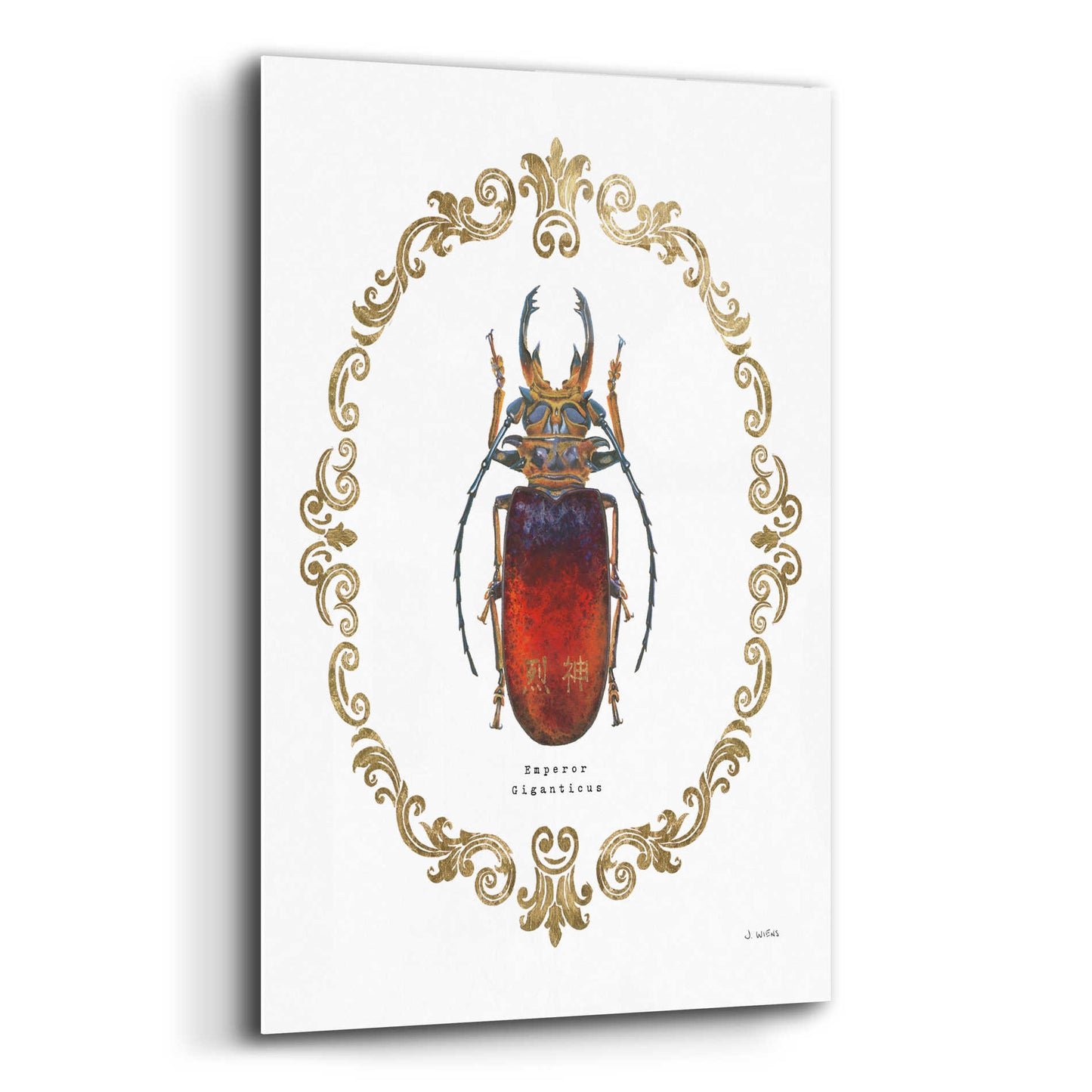 Epic Art 'Adorning Coleoptera I' by James Wiens, Acrylic Glass Wall Art,12x16