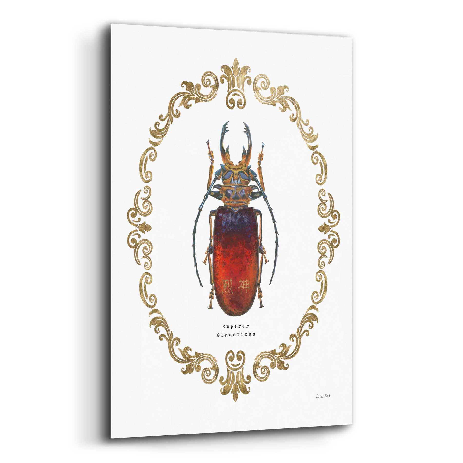 Epic Art 'Adorning Coleoptera I' by James Wiens, Acrylic Glass Wall Art,12x16