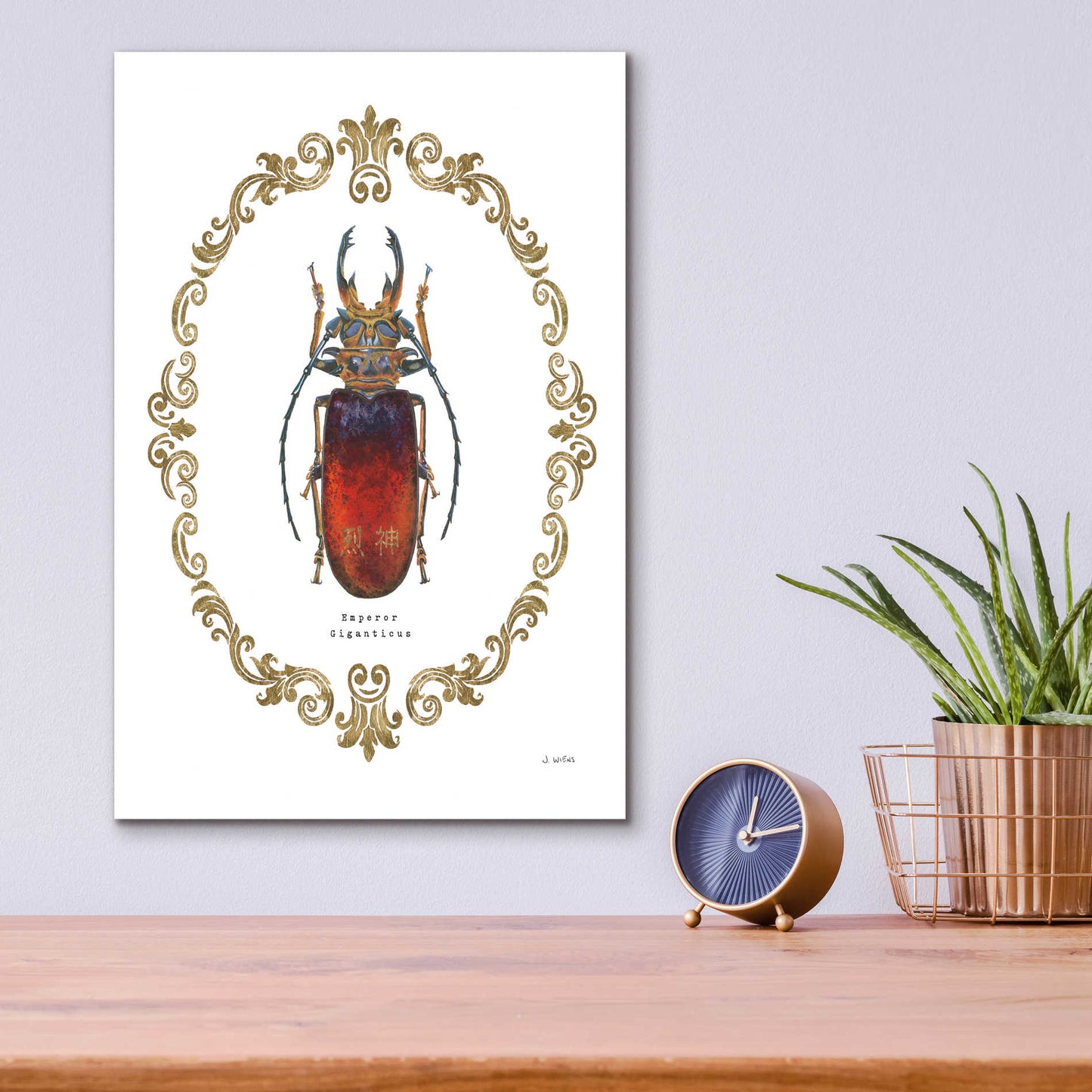 Epic Art 'Adorning Coleoptera I' by James Wiens, Acrylic Glass Wall Art,12x16