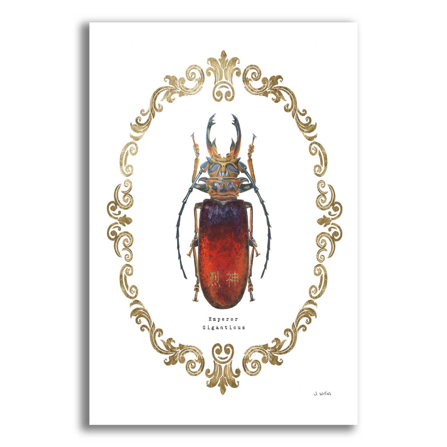 Epic Art 'Adorning Coleoptera I' by James Wiens, Acrylic Glass Wall Art,12x16