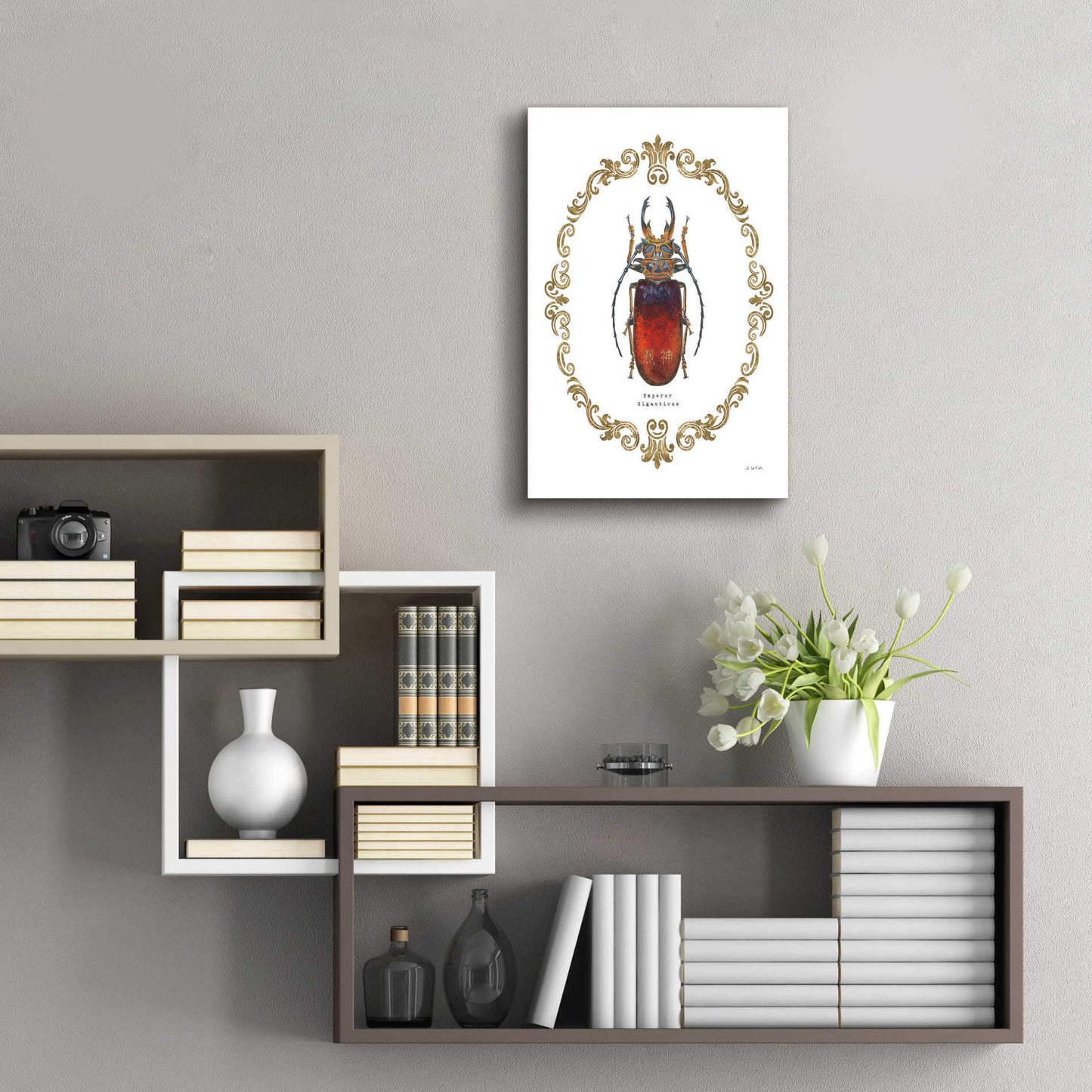 Epic Art 'Adorning Coleoptera I' by James Wiens, Acrylic Glass Wall Art,16x24