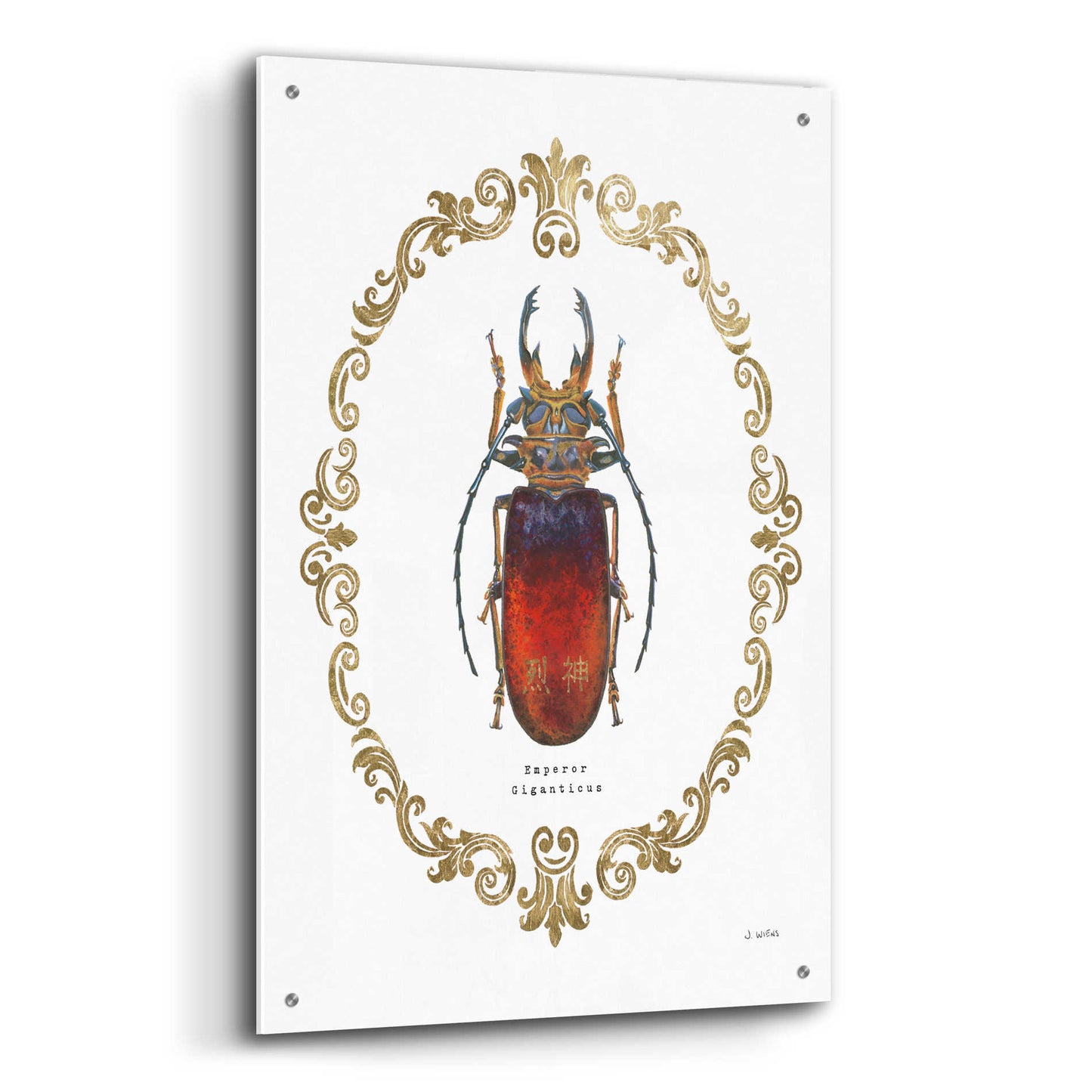 Epic Art 'Adorning Coleoptera I' by James Wiens, Acrylic Glass Wall Art,24x36