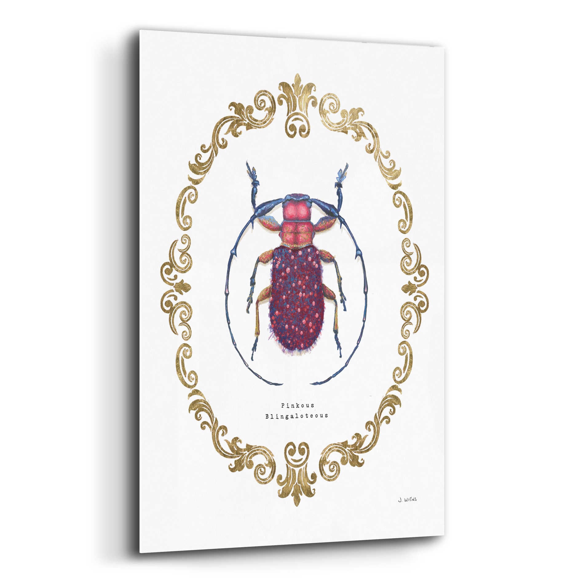 Epic Art 'Adorning Coleoptera II' by James Wiens, Acrylic Glass Wall Art,16x24