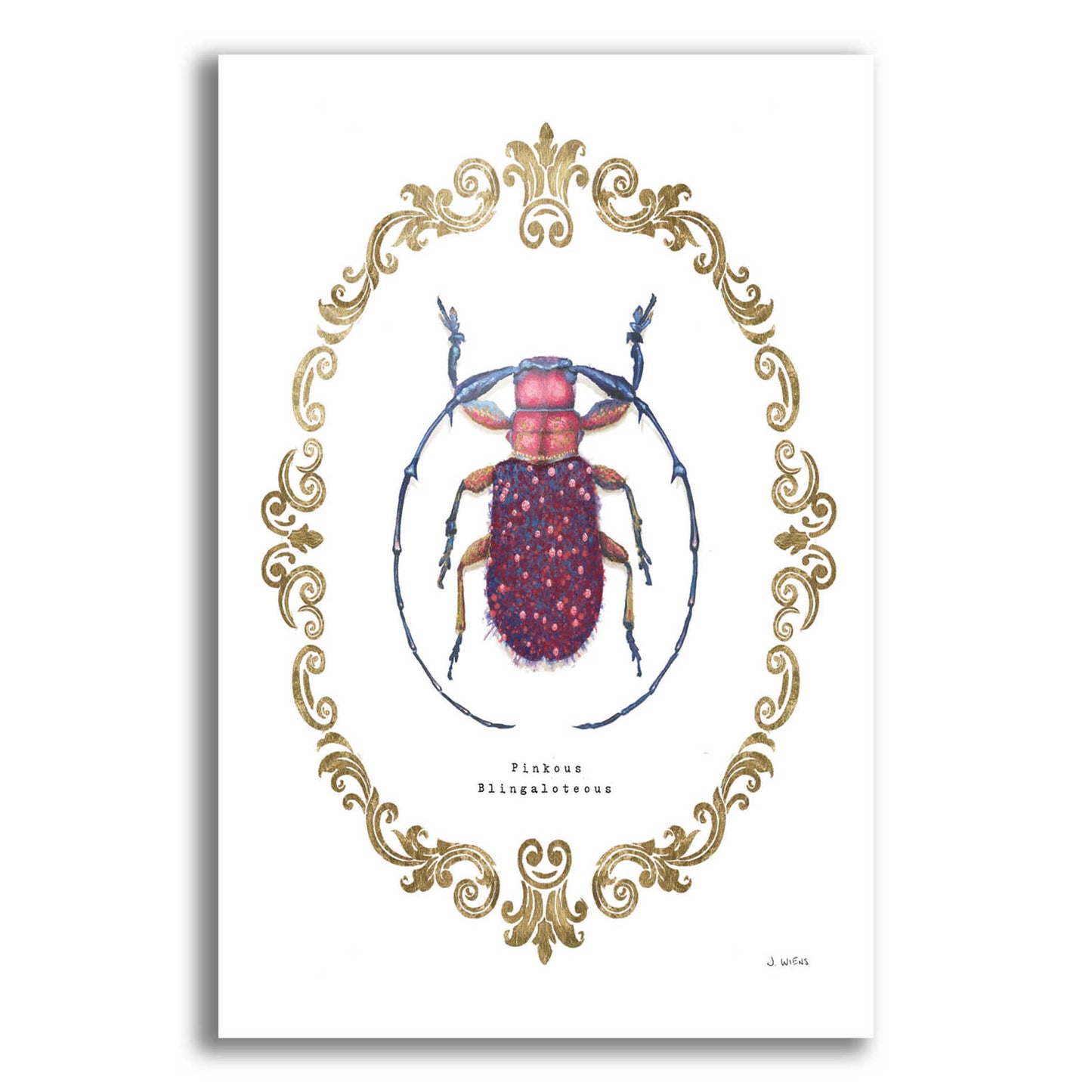 Epic Art 'Adorning Coleoptera II' by James Wiens, Acrylic Glass Wall Art,16x24