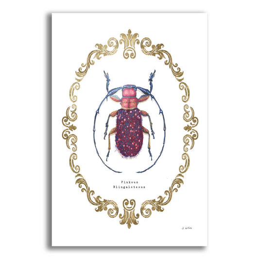 Epic Art 'Adorning Coleoptera II' by James Wiens, Acrylic Glass Wall Art,12x16x1.1x0,20x24x1.1x0,26x30x1.74x0,40x54x1.74x0