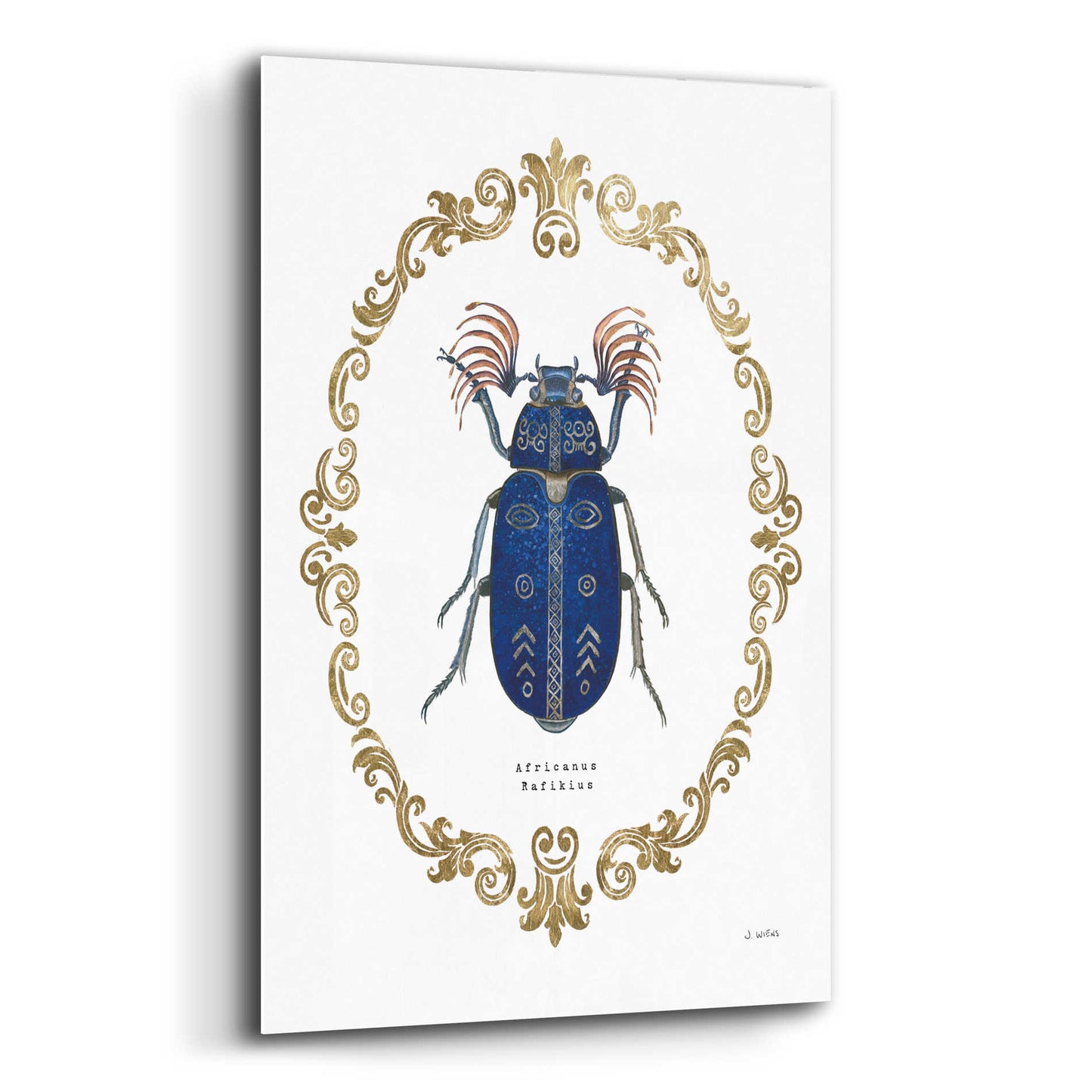 Epic Art 'Adorning Coleoptera III' by James Wiens, Acrylic Glass Wall Art,12x16