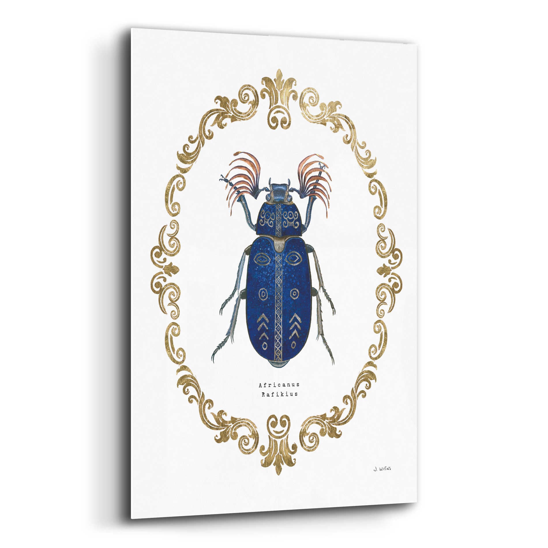 Epic Art 'Adorning Coleoptera III' by James Wiens, Acrylic Glass Wall Art,12x16