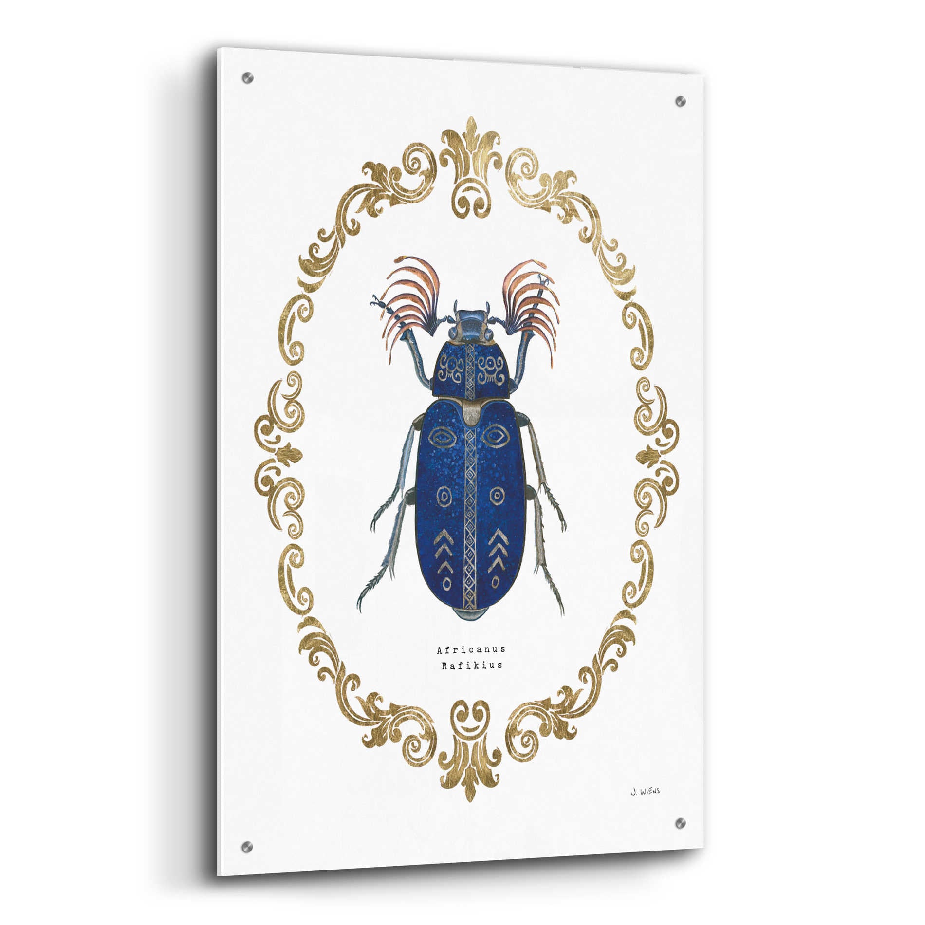 Epic Art 'Adorning Coleoptera III' by James Wiens, Acrylic Glass Wall Art,24x36