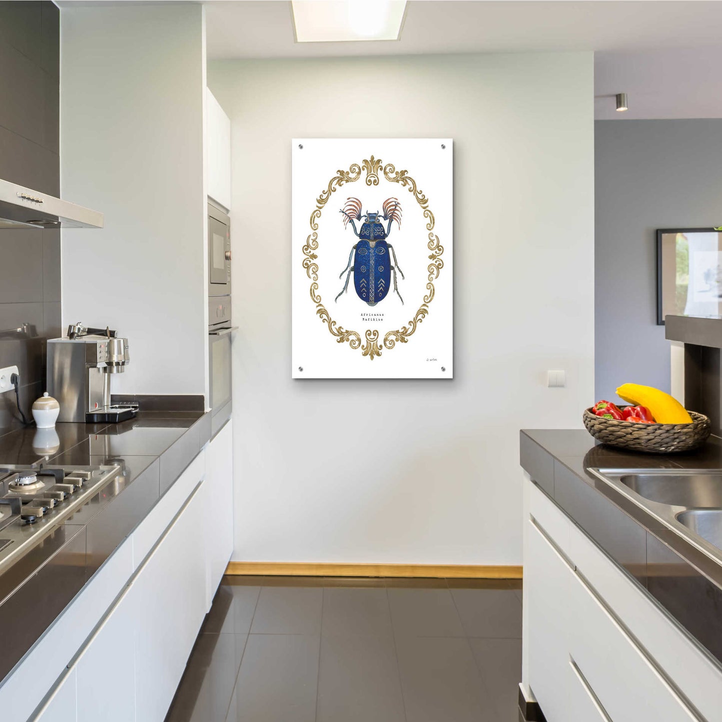 Epic Art 'Adorning Coleoptera III' by James Wiens, Acrylic Glass Wall Art,24x36