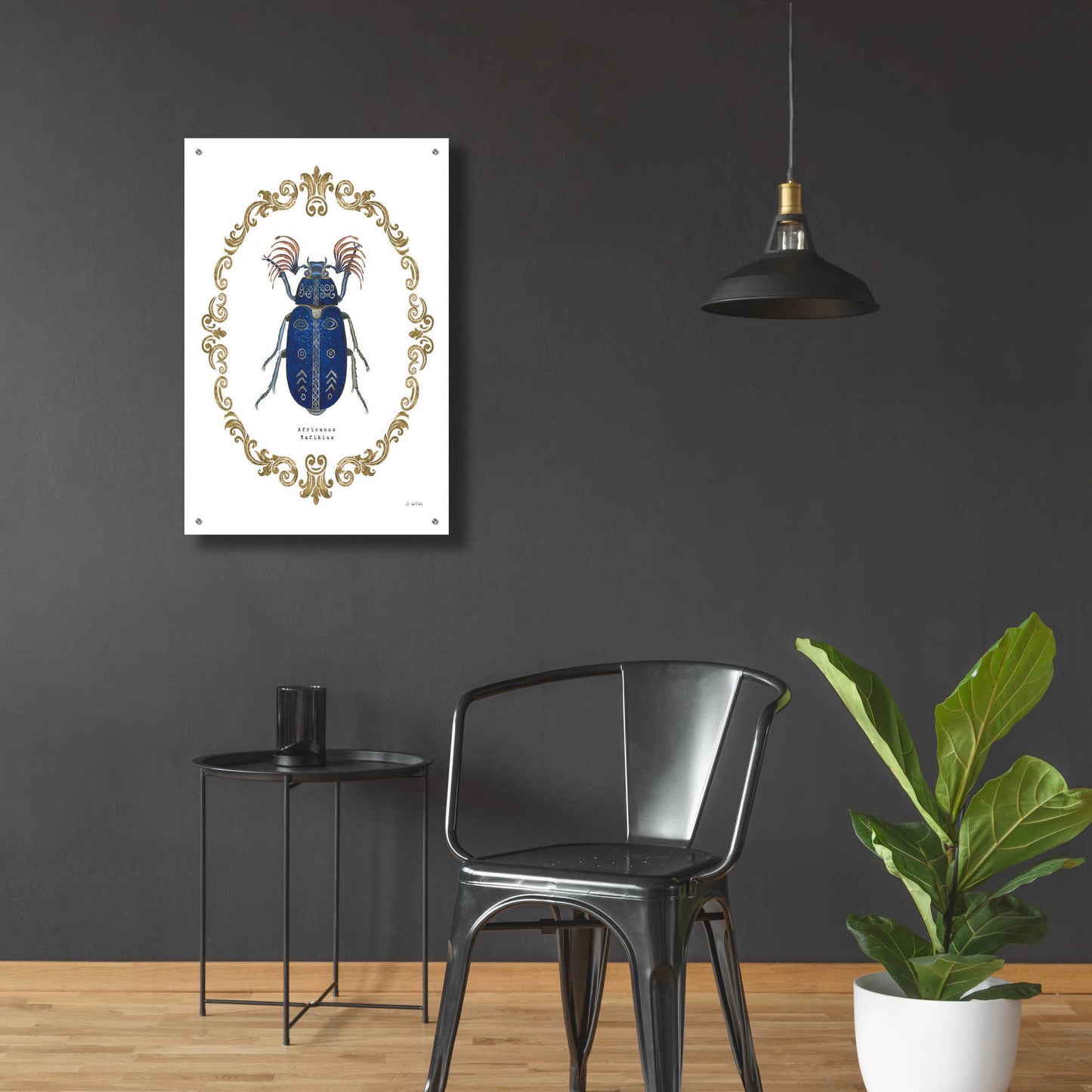 Epic Art 'Adorning Coleoptera III' by James Wiens, Acrylic Glass Wall Art,24x36