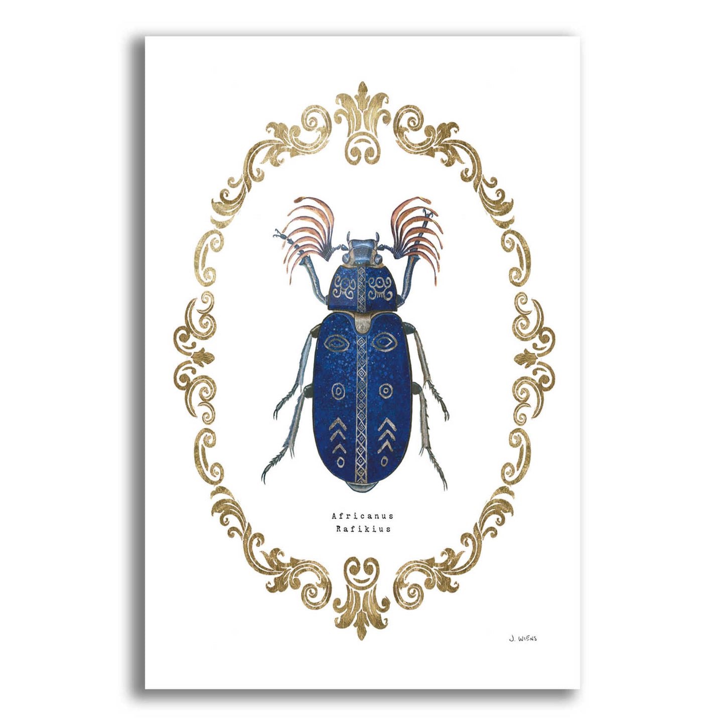 Epic Art 'Adorning Coleoptera III' by James Wiens, Acrylic Glass Wall Art,12x16x1.1x0,20x24x1.1x0,26x30x1.74x0,40x54x1.74x0