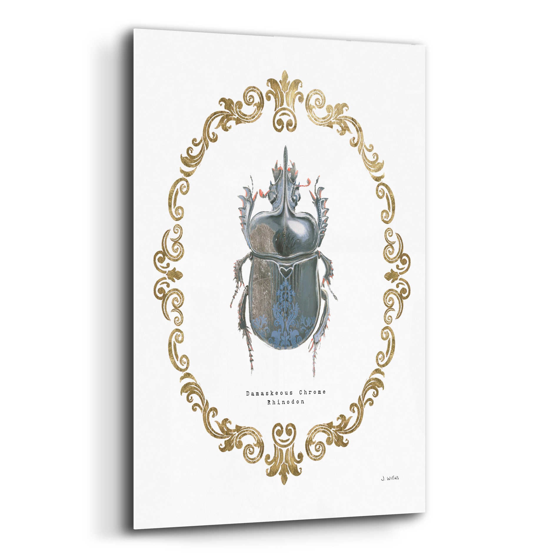 Epic Art 'Adorning Coleoptera IV' by James Wiens, Acrylic Glass Wall Art,12x16