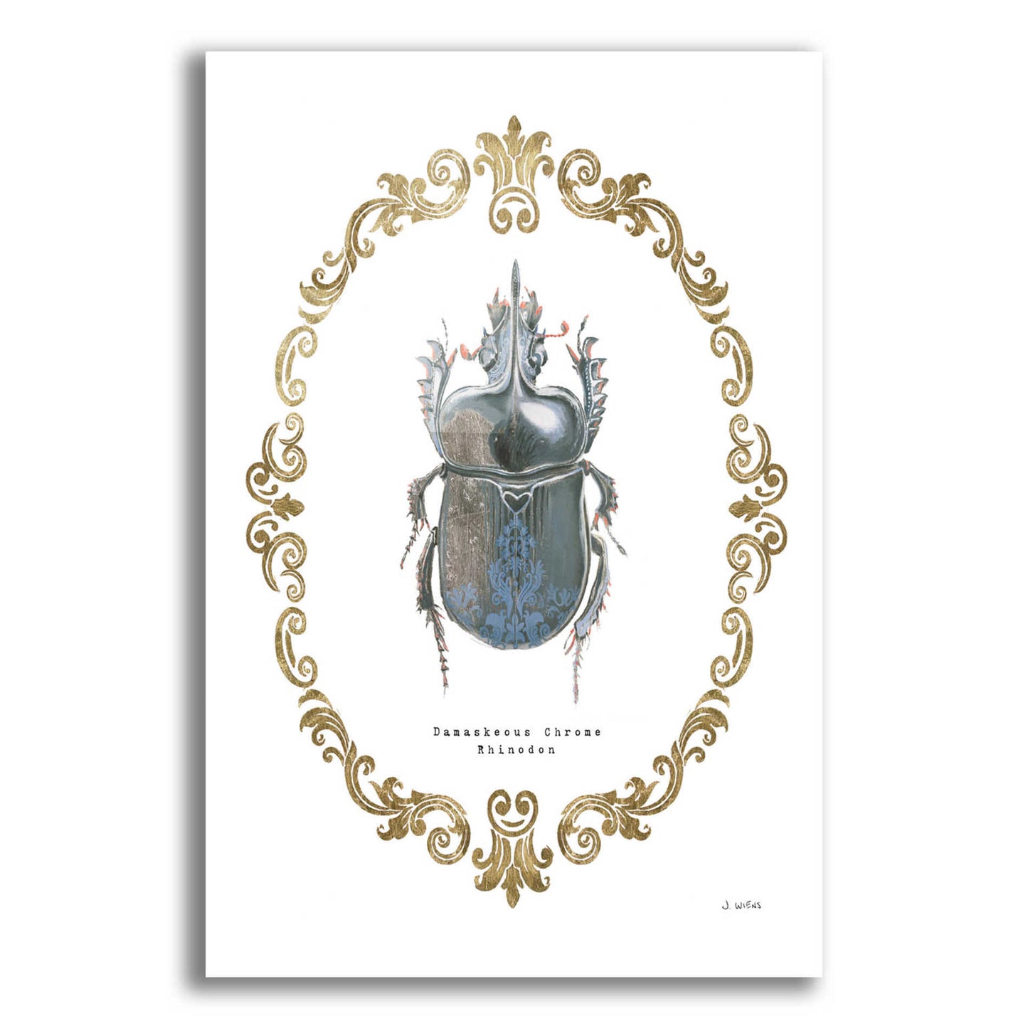 Epic Art 'Adorning Coleoptera IV' by James Wiens, Acrylic Glass Wall Art,12x16