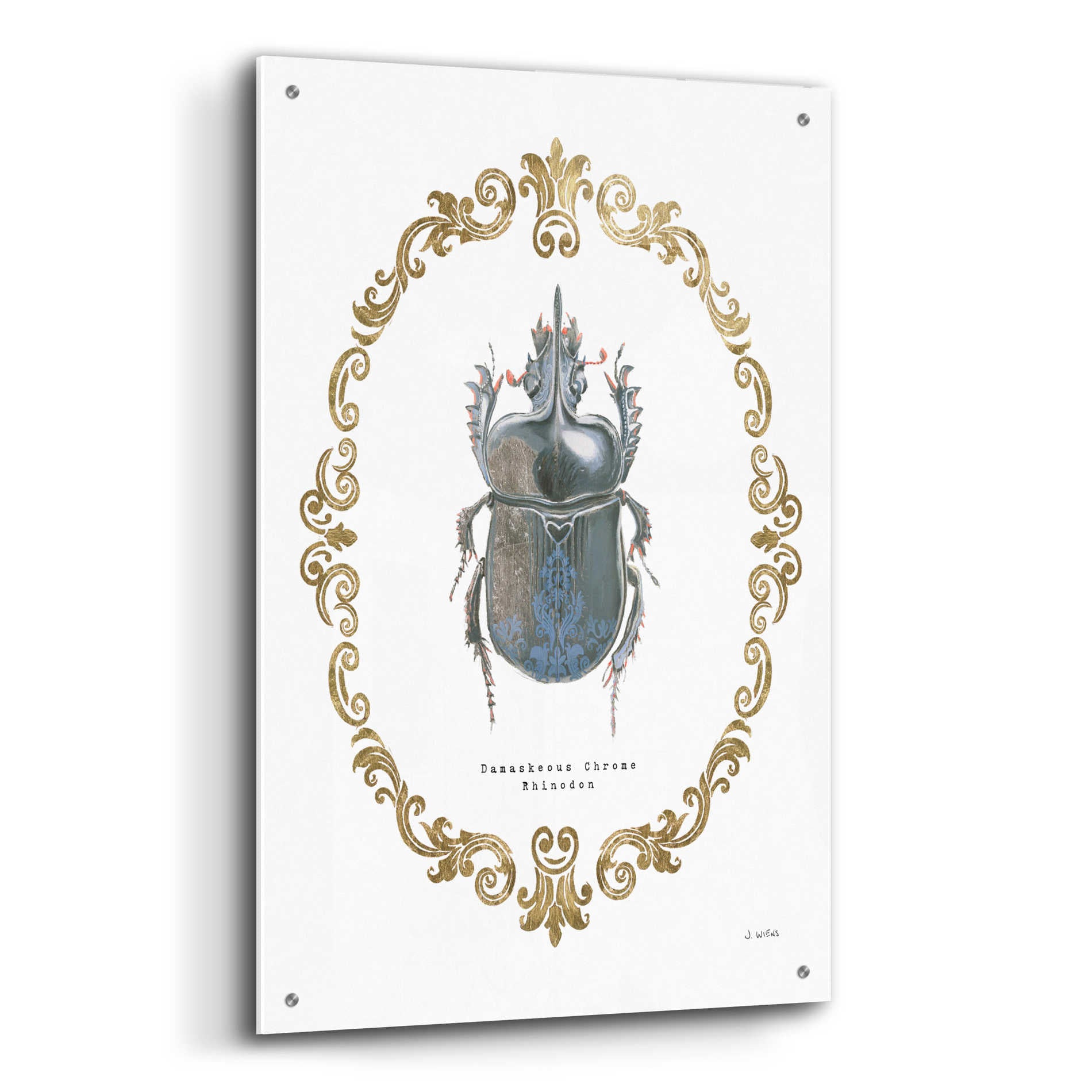 Epic Art 'Adorning Coleoptera IV' by James Wiens, Acrylic Glass Wall Art,24x36