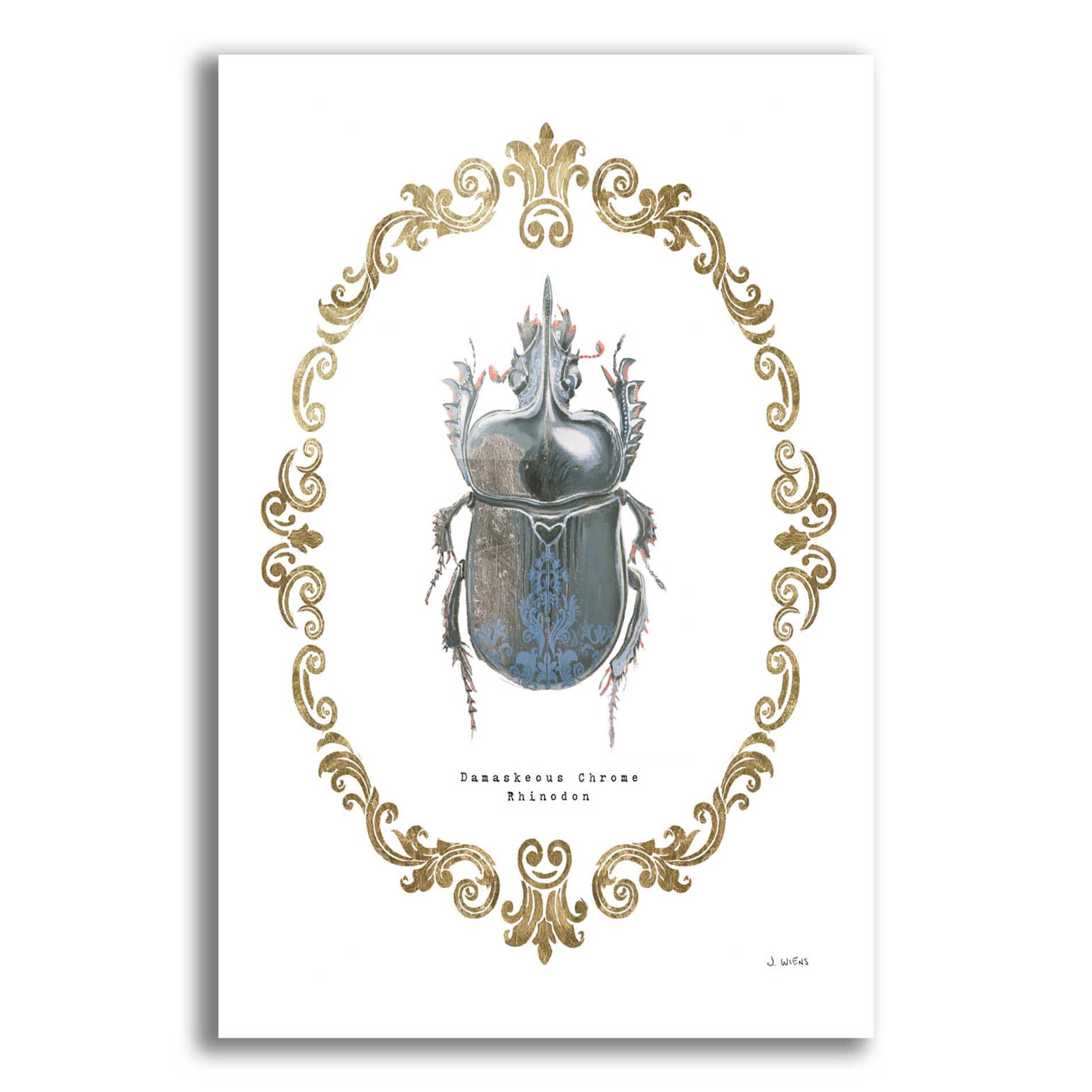 Epic Art 'Adorning Coleoptera IV' by James Wiens, Acrylic Glass Wall Art,12x16x1.1x0,20x24x1.1x0,26x30x1.74x0,40x54x1.74x0