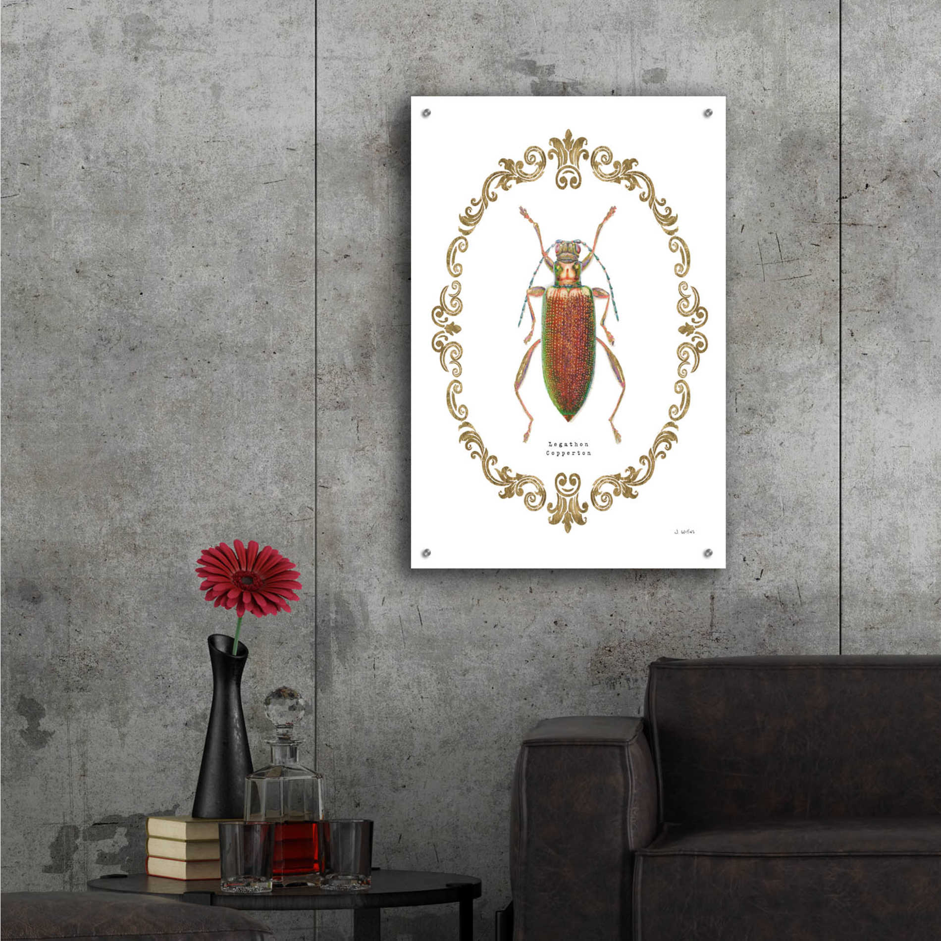 Epic Art 'Adorning Coleoptera VI' by James Wiens, Acrylic Glass Wall Art,24x36