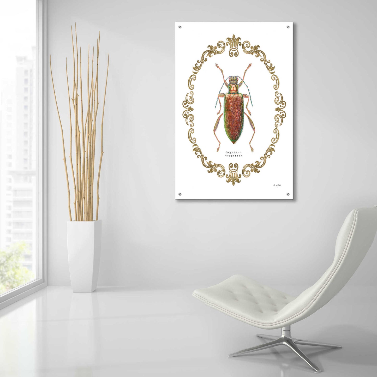 Epic Art 'Adorning Coleoptera VI' by James Wiens, Acrylic Glass Wall Art,24x36