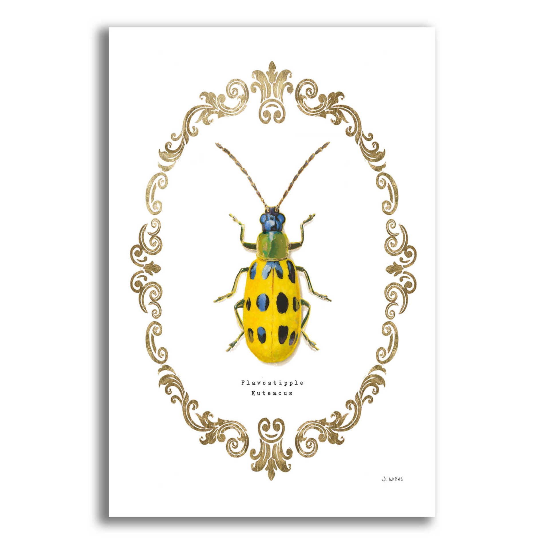 Epic Art 'Adorning Coleoptera VII' by James Wiens, Acrylic Glass Wall Art,12x16