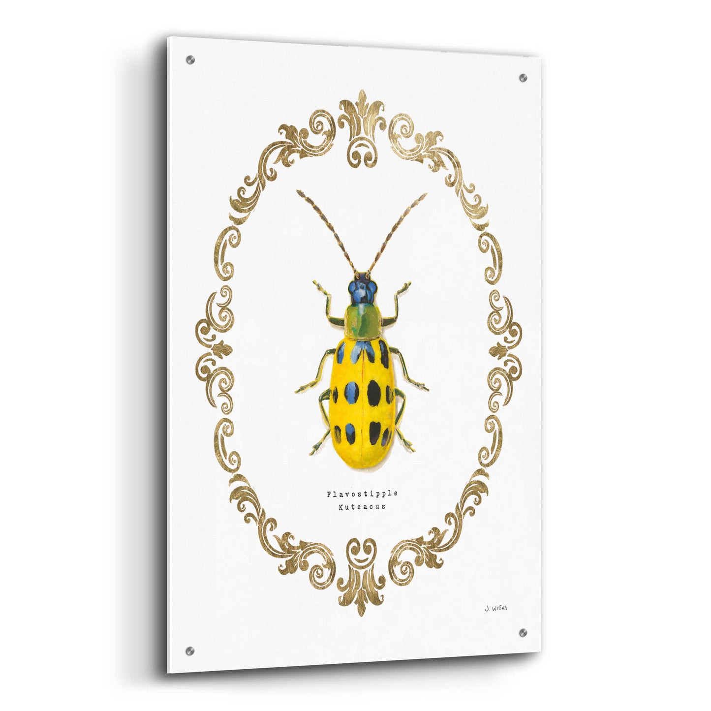 Epic Art 'Adorning Coleoptera VII' by James Wiens, Acrylic Glass Wall Art,24x36