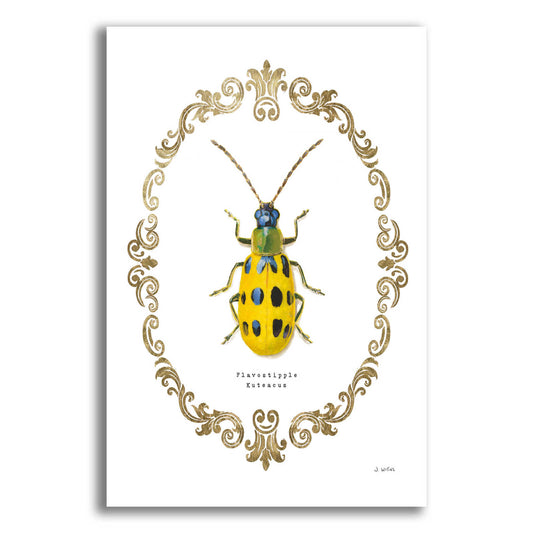 Epic Art 'Adorning Coleoptera VII' by James Wiens, Acrylic Glass Wall Art,12x16x1.1x0,20x24x1.1x0,26x30x1.74x0,40x54x1.74x0