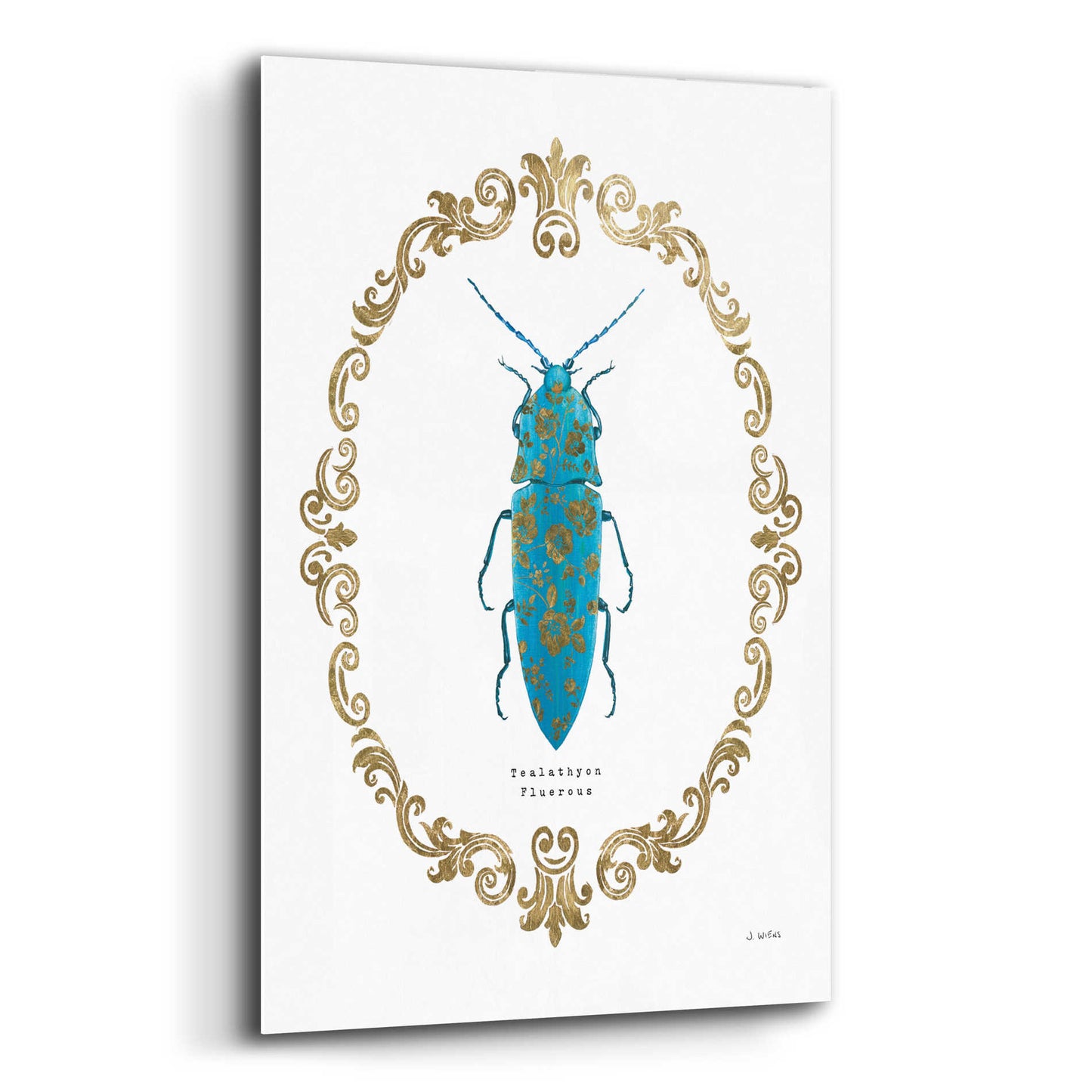 Epic Art 'Adorning Coleoptera VIII' by James Wiens, Acrylic Glass Wall Art,16x24