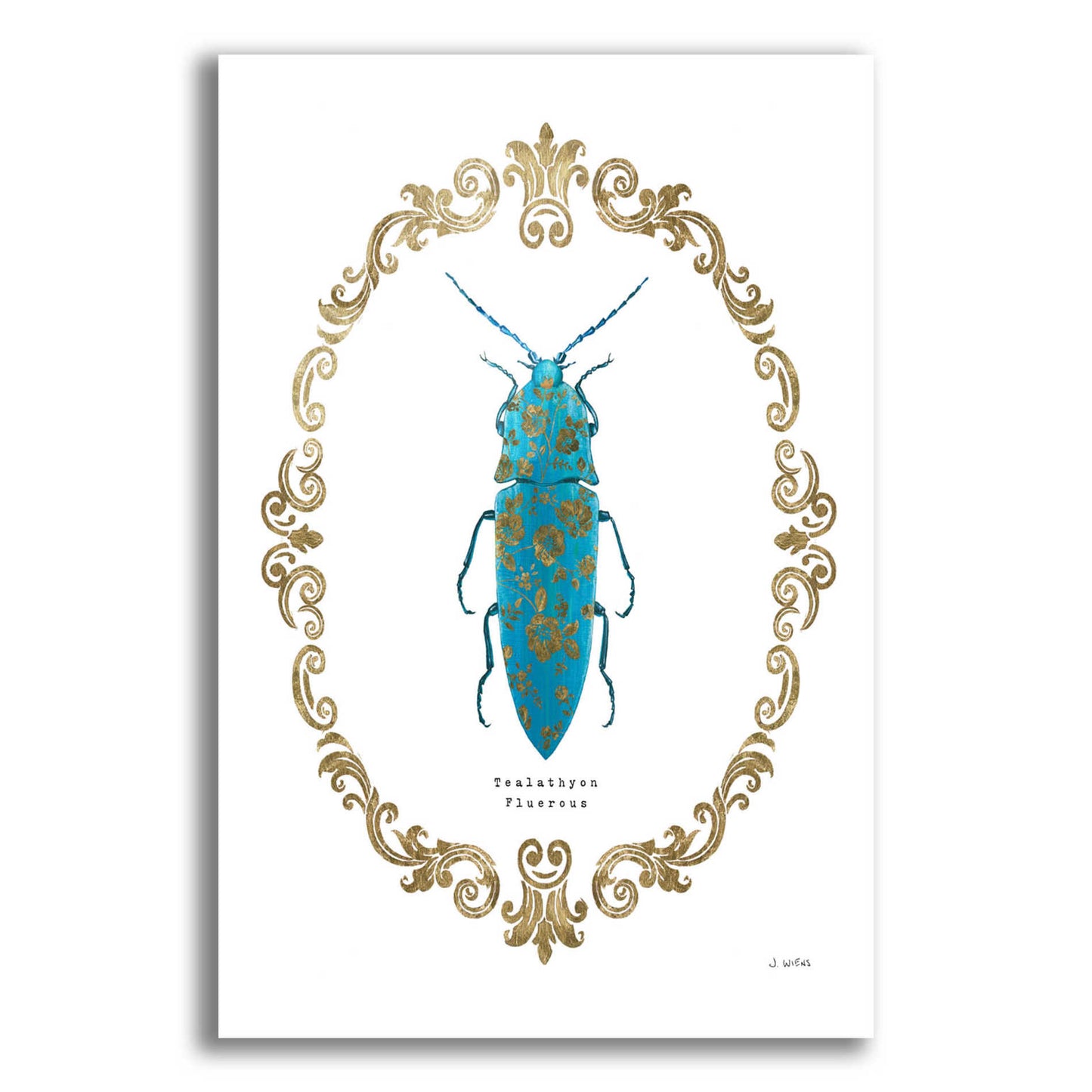 Epic Art 'Adorning Coleoptera VIII' by James Wiens, Acrylic Glass Wall Art,16x24