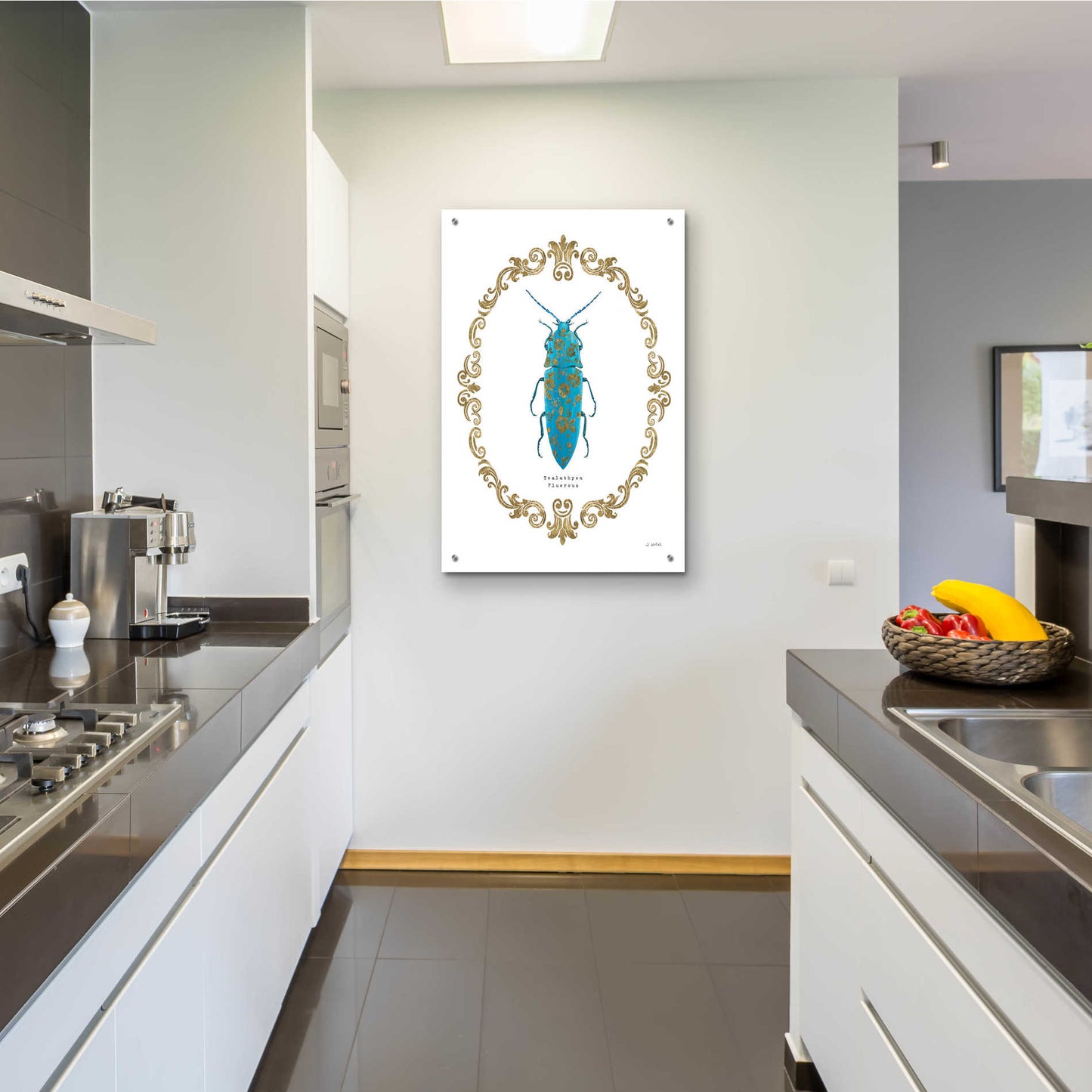 Epic Art 'Adorning Coleoptera VIII' by James Wiens, Acrylic Glass Wall Art,24x36