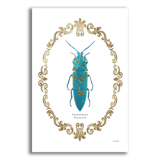 Epic Art 'Adorning Coleoptera VIII' by James Wiens, Acrylic Glass Wall Art,12x16x1.1x0,20x24x1.1x0,26x30x1.74x0,40x54x1.74x0