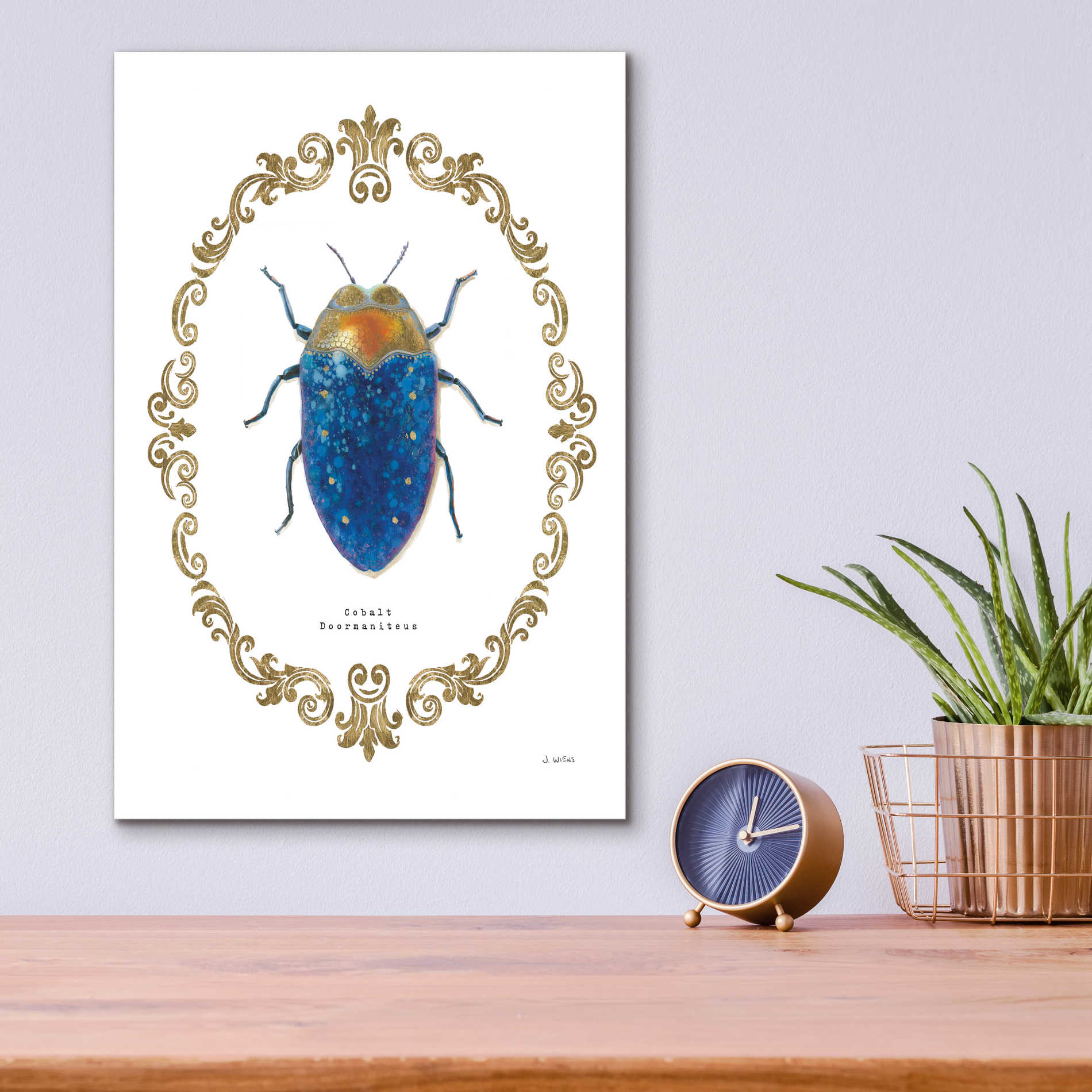 Epic Art 'Adorning Coleoptera V' by James Wiens, Acrylic Glass Wall Art,12x16