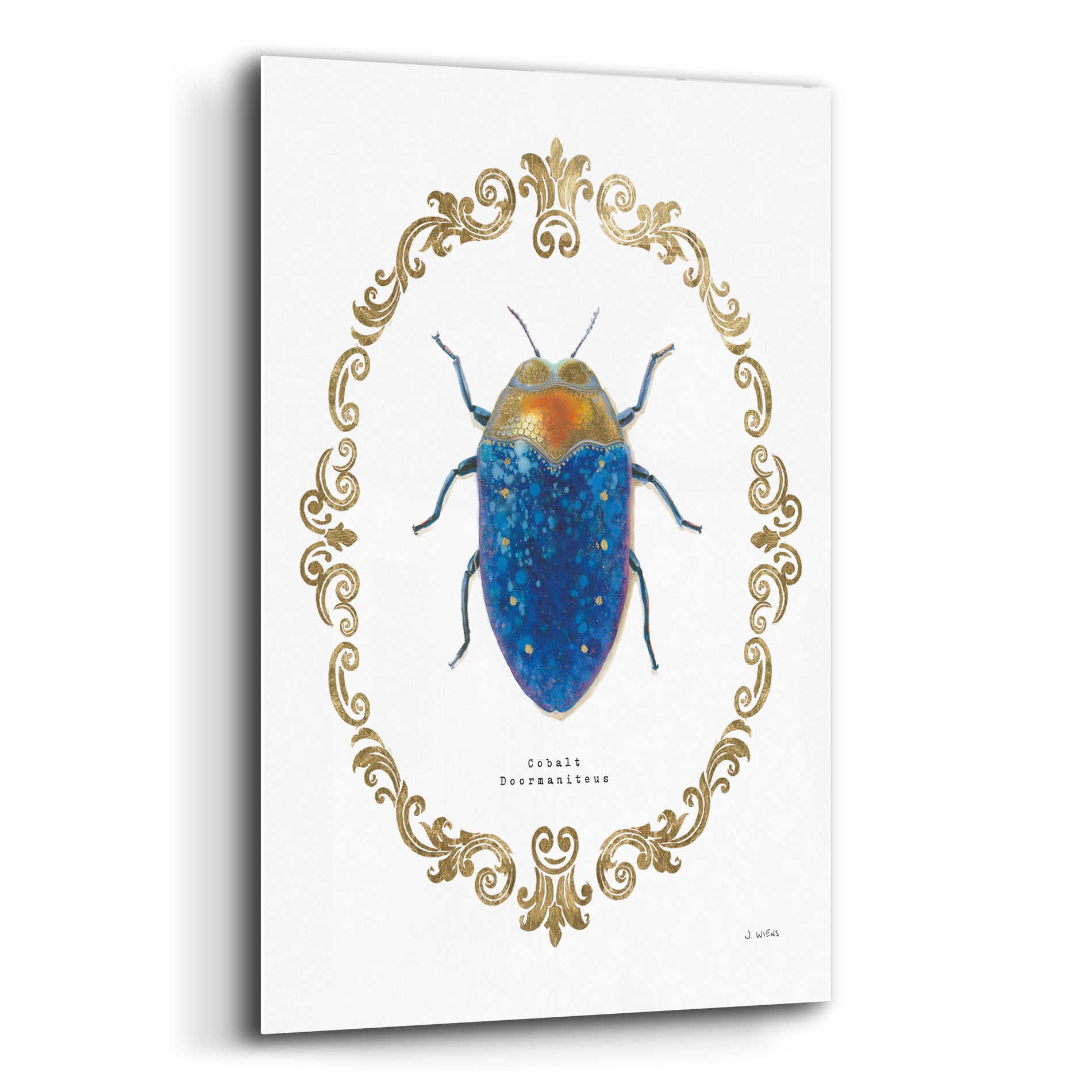 Epic Art 'Adorning Coleoptera V' by James Wiens, Acrylic Glass Wall Art,16x24