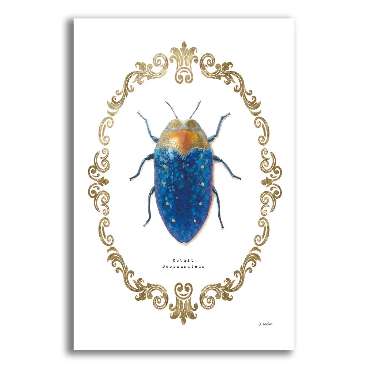 Epic Art 'Adorning Coleoptera V' by James Wiens, Acrylic Glass Wall Art,16x24