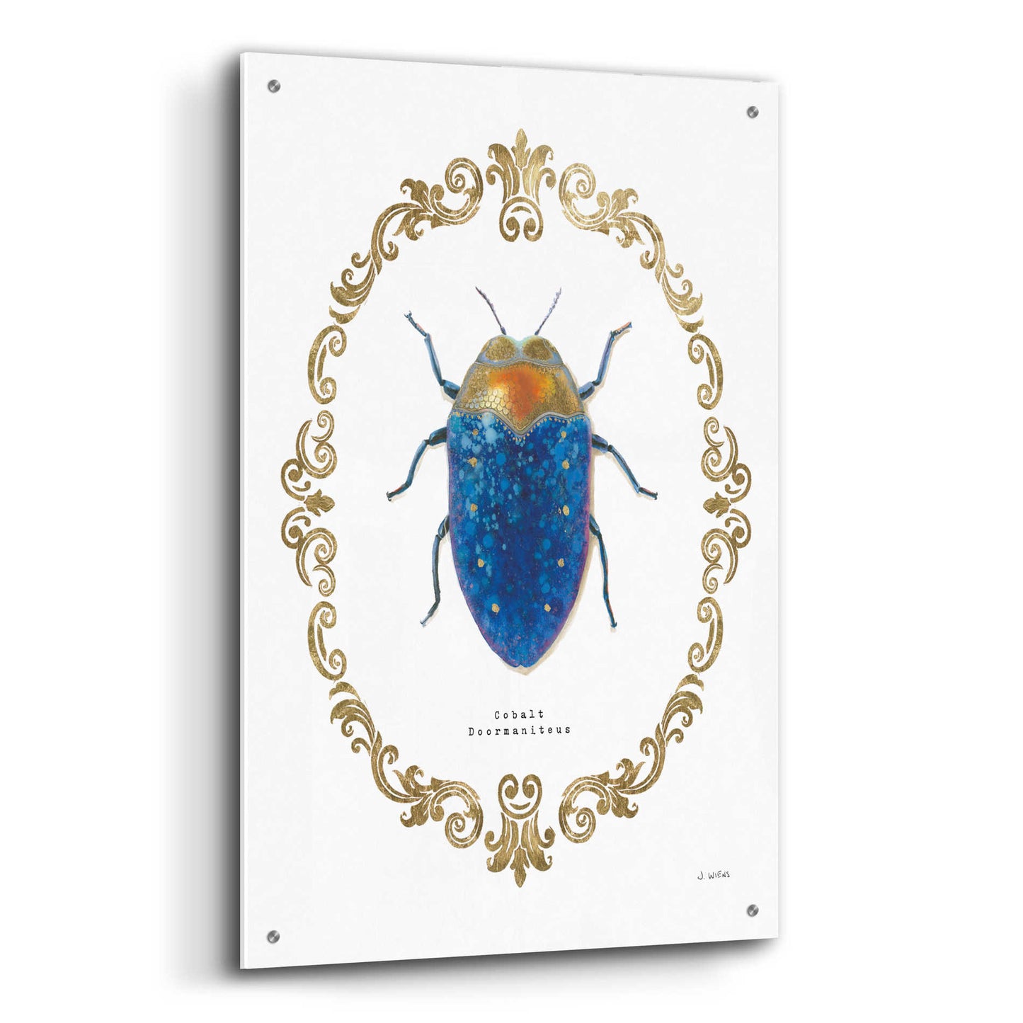 Epic Art 'Adorning Coleoptera V' by James Wiens, Acrylic Glass Wall Art,24x36