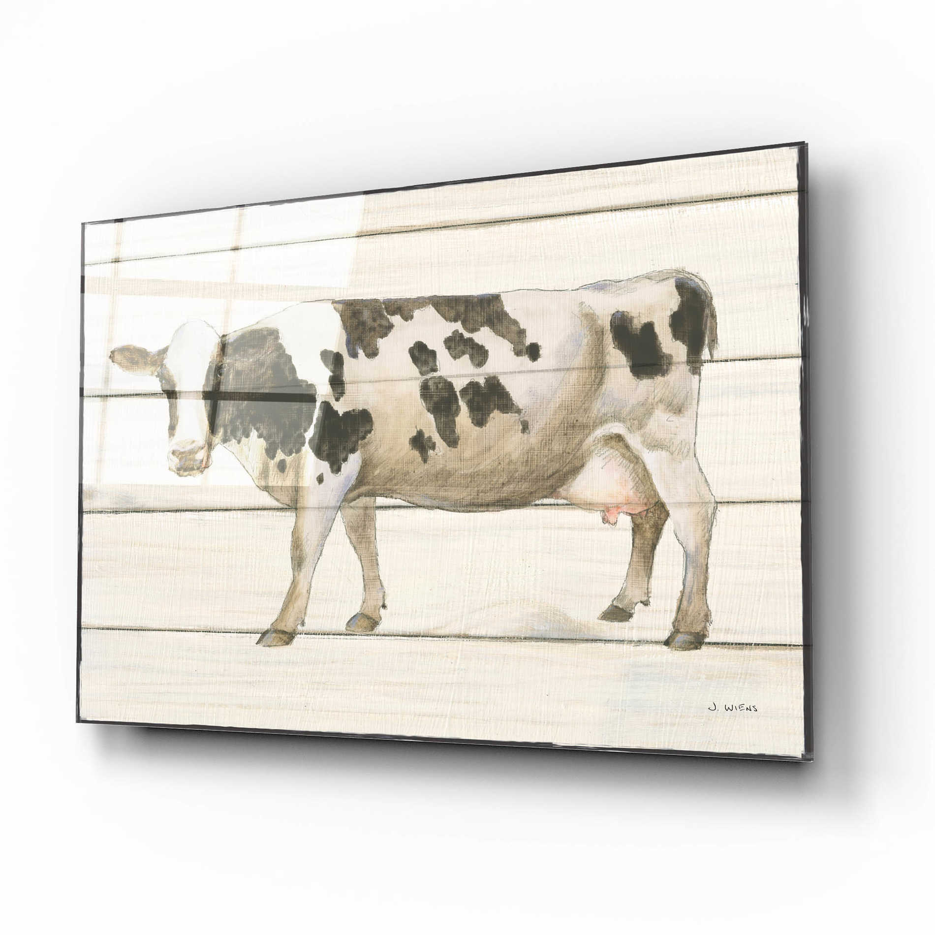 Epic Art 'Country Cow VI' by James Wiens, Acrylic Glass Wall Art,16x12