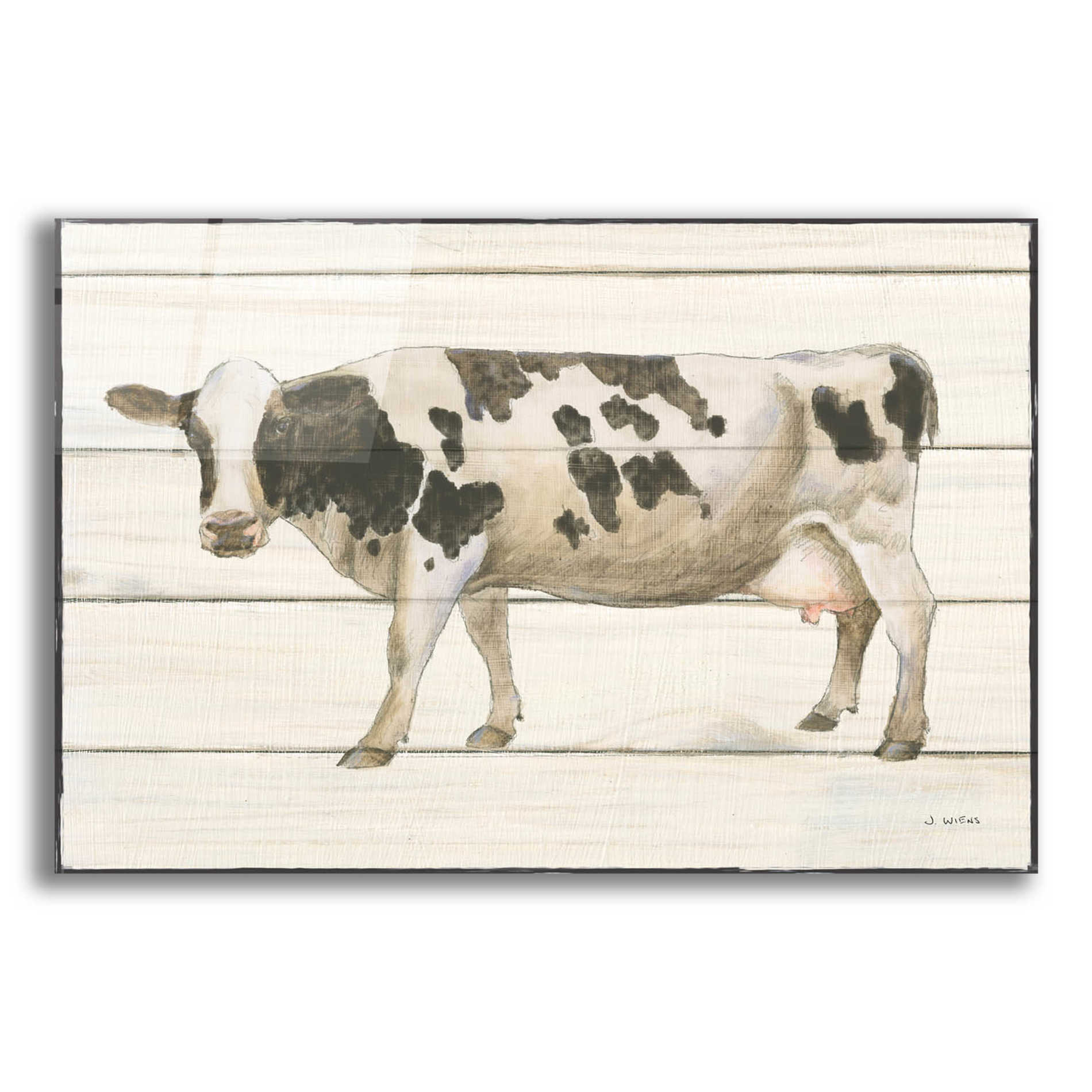 Epic Art 'Country Cow VI' by James Wiens, Acrylic Glass Wall Art,16x12