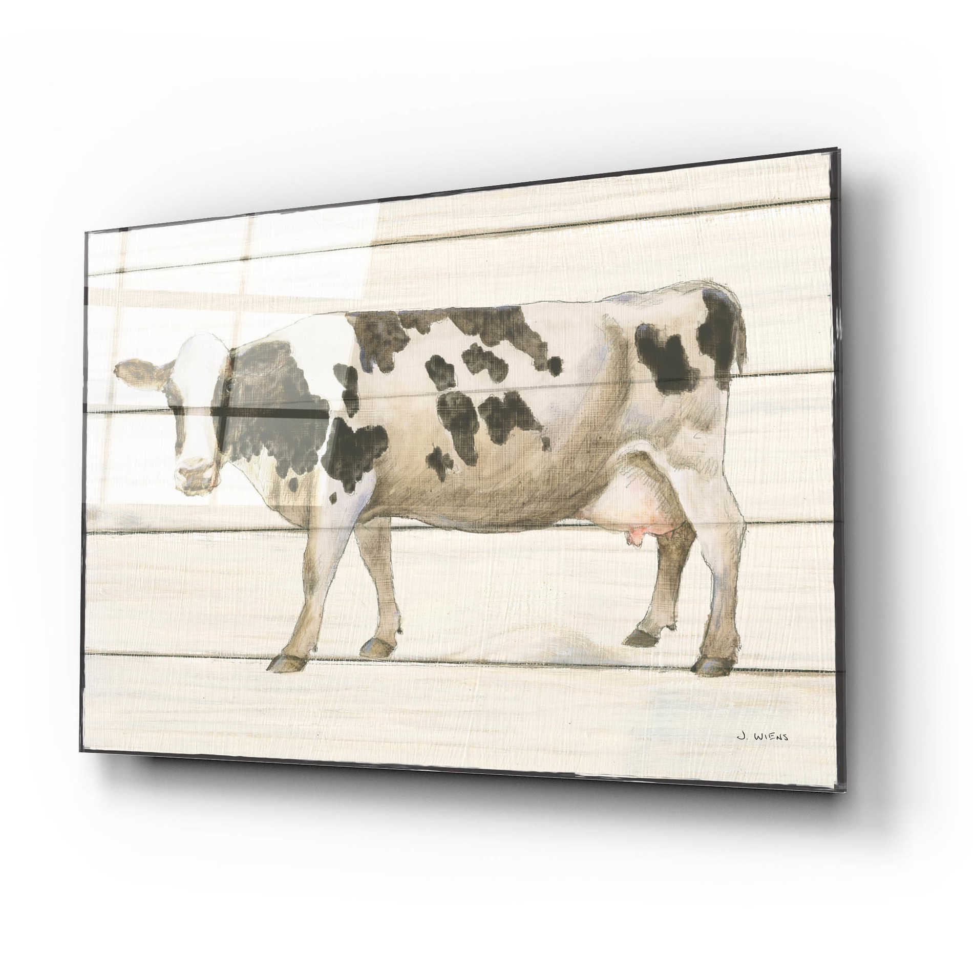 Epic Art 'Country Cow VI' by James Wiens, Acrylic Glass Wall Art,24x16