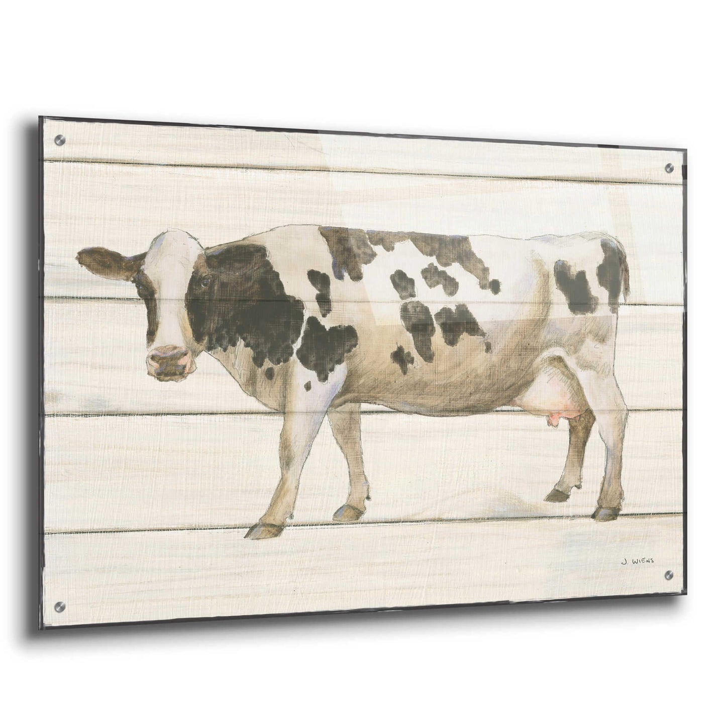 Epic Art 'Country Cow VI' by James Wiens, Acrylic Glass Wall Art,36x24