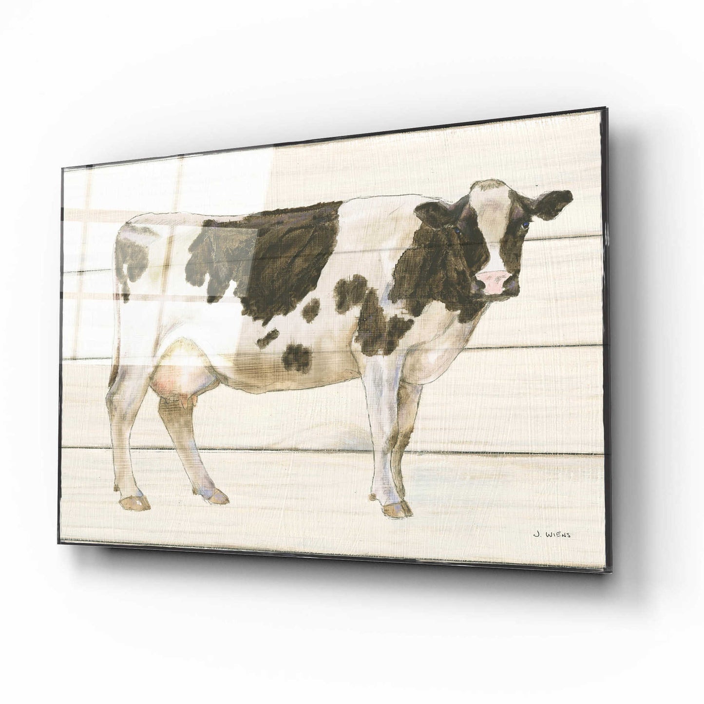 Epic Art 'Country Cow VII' by James Wiens, Acrylic Glass Wall Art,16x12