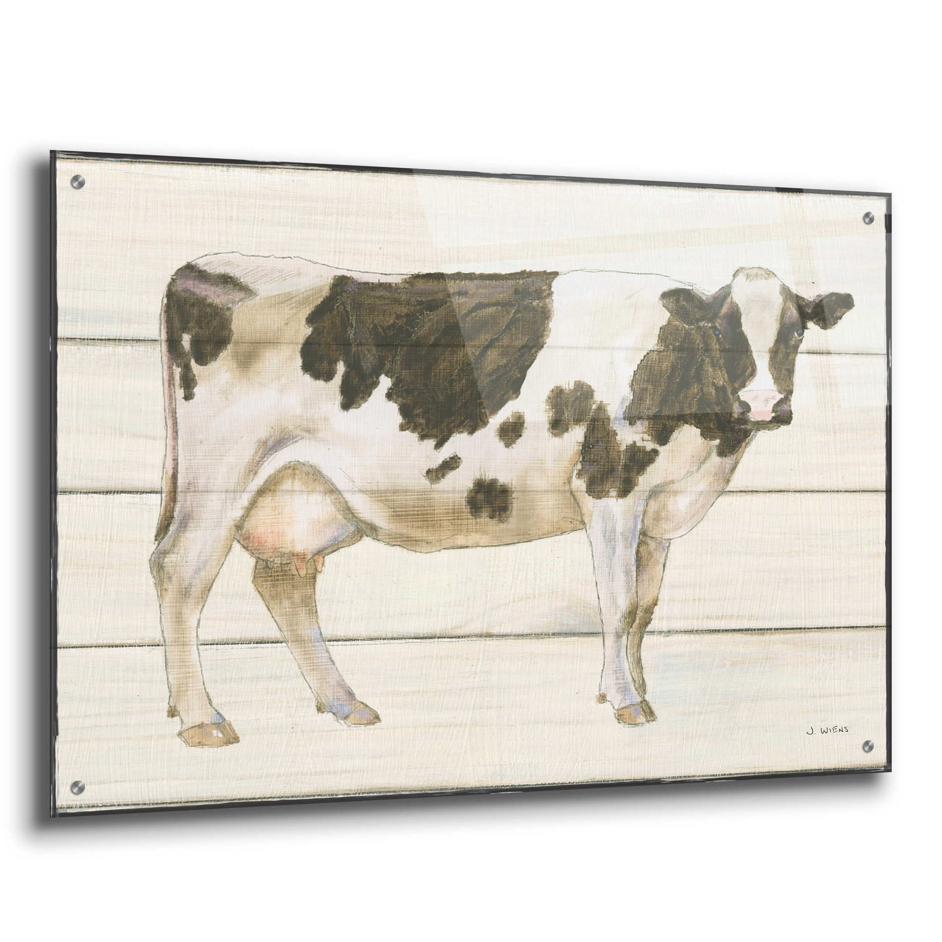 Epic Art 'Country Cow VII' by James Wiens, Acrylic Glass Wall Art,36x24