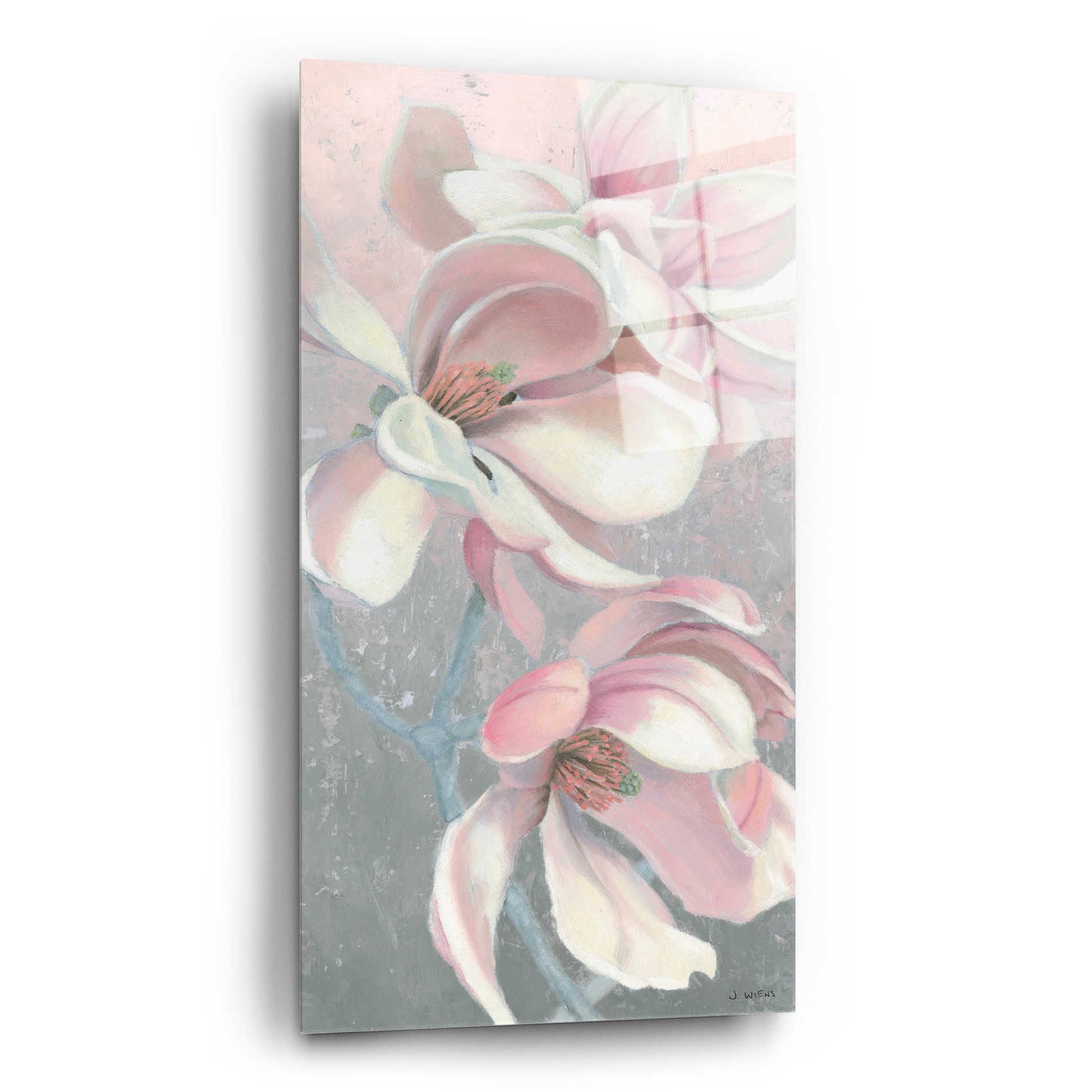 Epic Art 'Sunrise Blossom I' by James Wiens, Acrylic Glass Wall Art,12x24